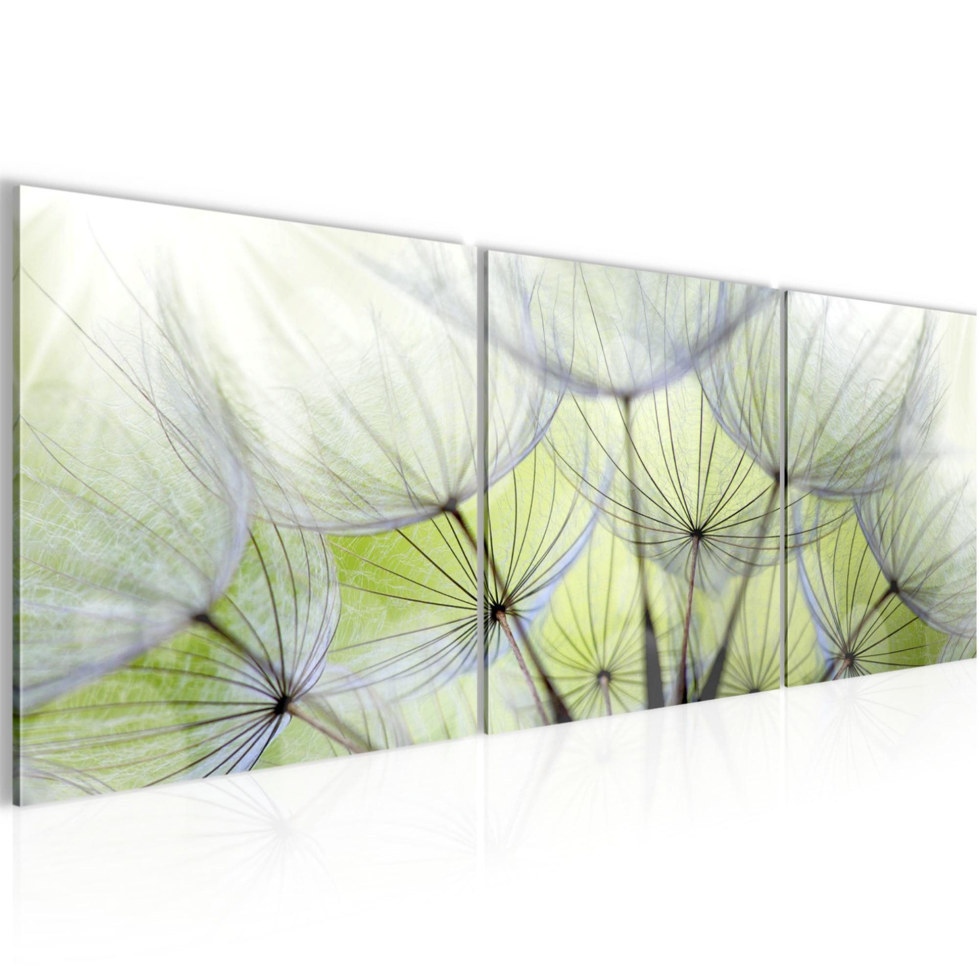 Runa Art Wandbild Bilder Pusteblume Bild auf Vlies Leinwand Deko 90 x 30 cm Natur Grün, 90L x 30B cm