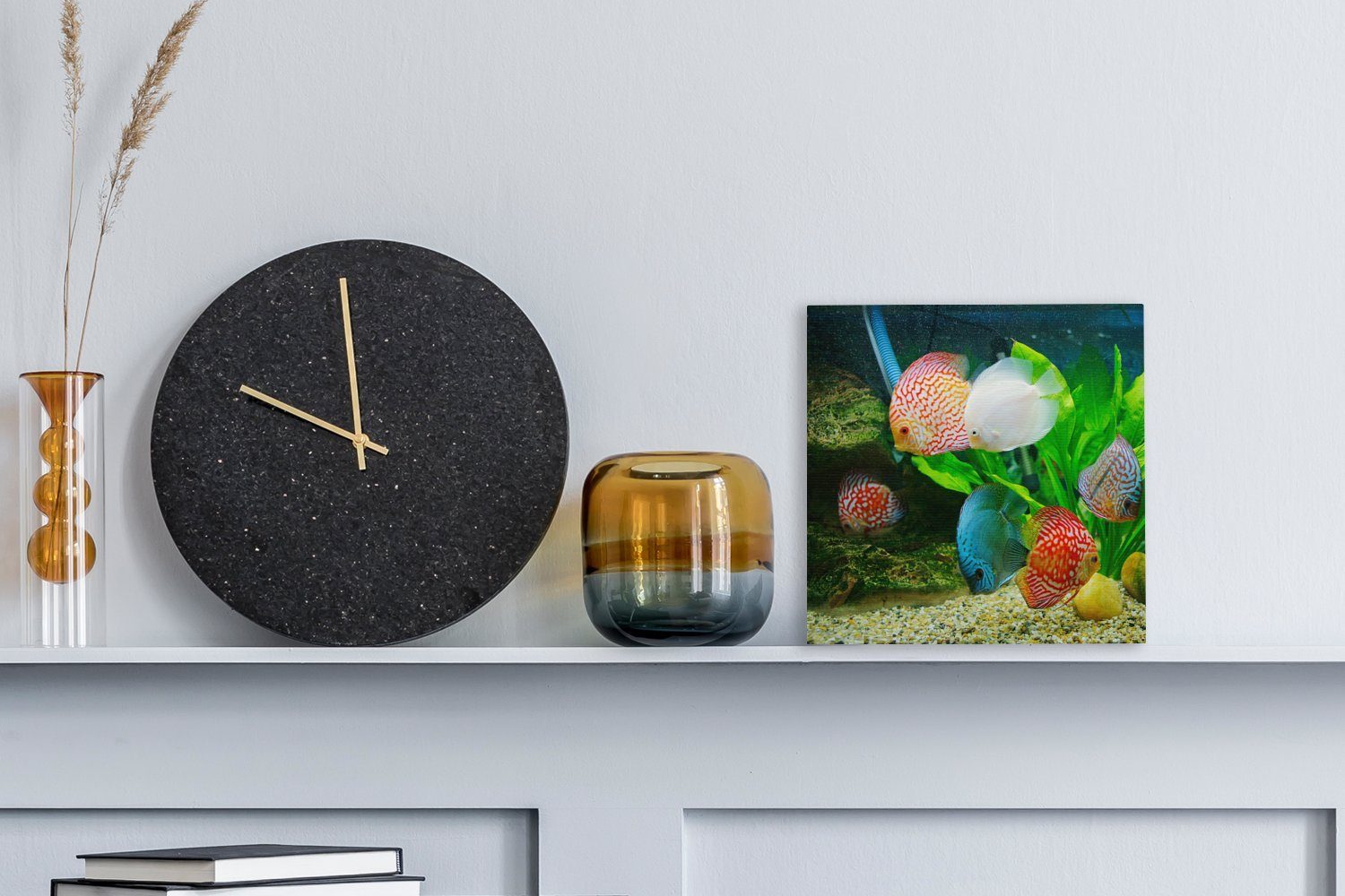 OneMillionCanvasses® Leinwandbild Fische in einem Aquarium, Fotodruck (1 St günstig online kaufen