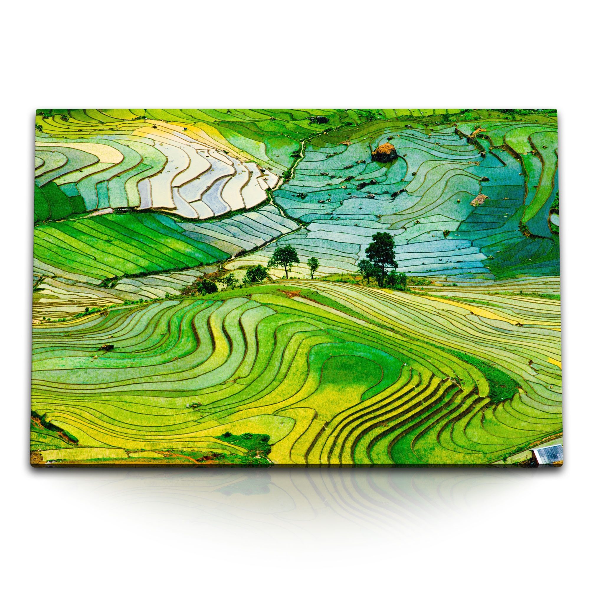Leinwandbild 120x80cm Wandbild auf Leinwand Reisfelder Vietnam Reisanbau Grün Natur