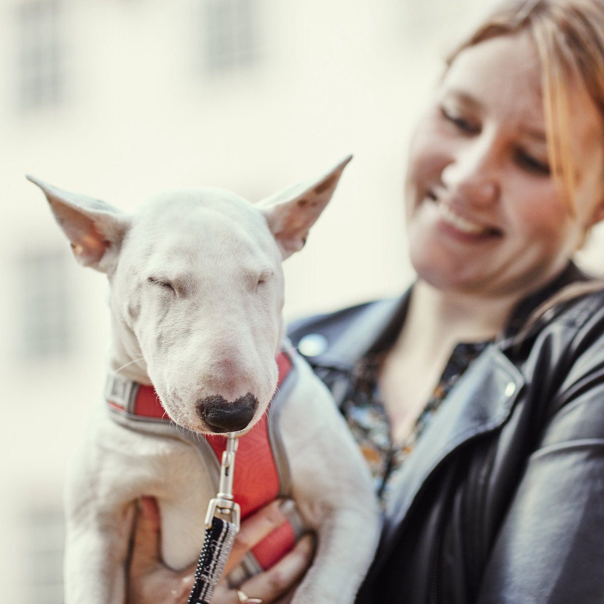 HURTTA Hunde-Geschirr Venture Geschirr No-Pull coral