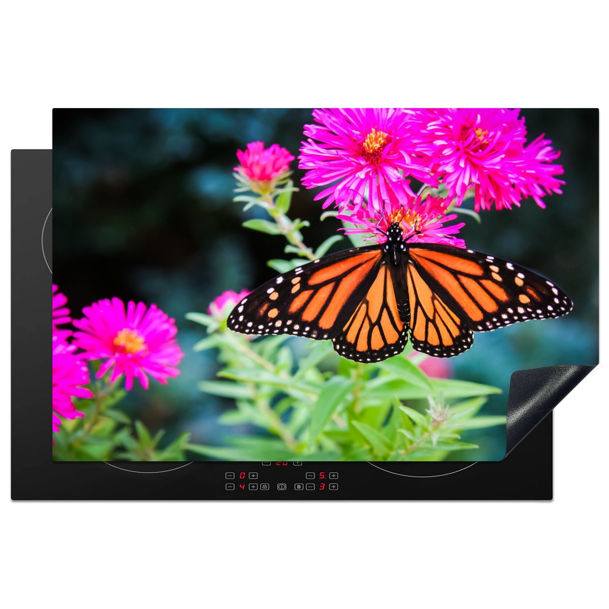 MuchoWow Herdblende-/Abdeckplatte Schmetterling - Botanisch - Blume, Vinyl, (1 tlg), 80x52 cm, Induktionskochfeld Schutz für die küche, Ceranfeldabdeckung