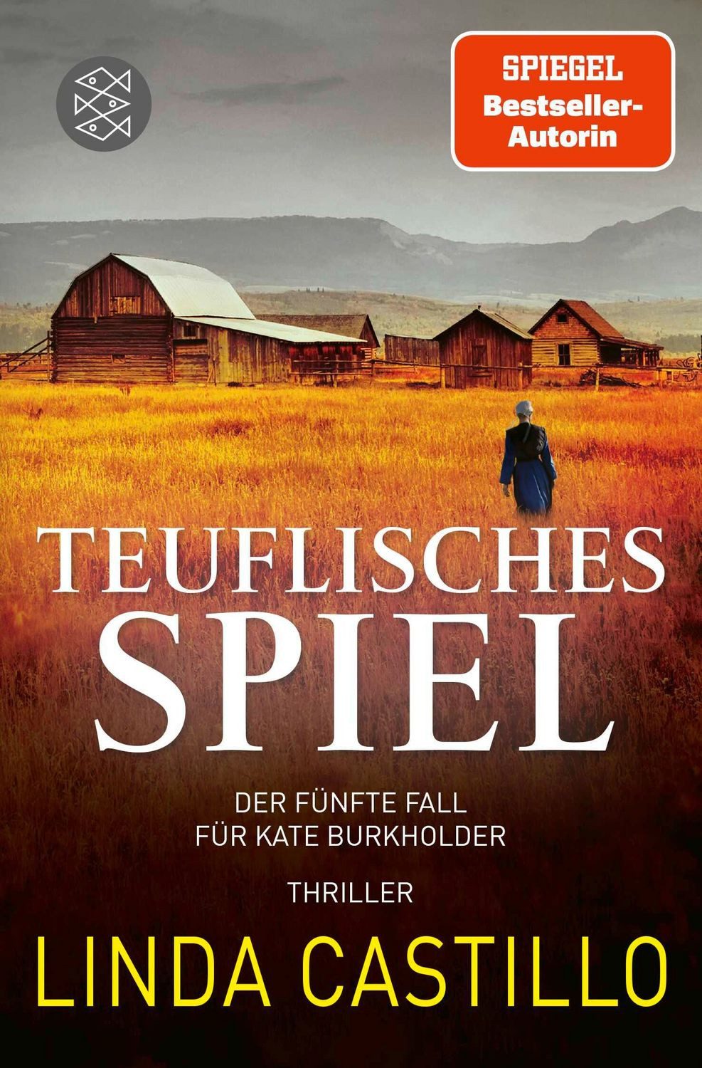 Teuflisches Spiel / Kate Burkholder Band 5 / Linda Castillo