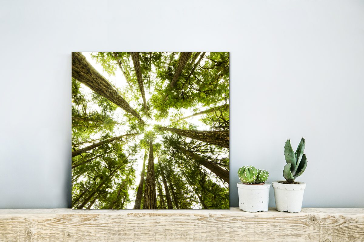 deko (1 Bäume Gemälde MuchoWow aus Dschungel, Metall, Aluminium grüne Metallbild im Hohe St), Alu-Dibond-Druck,