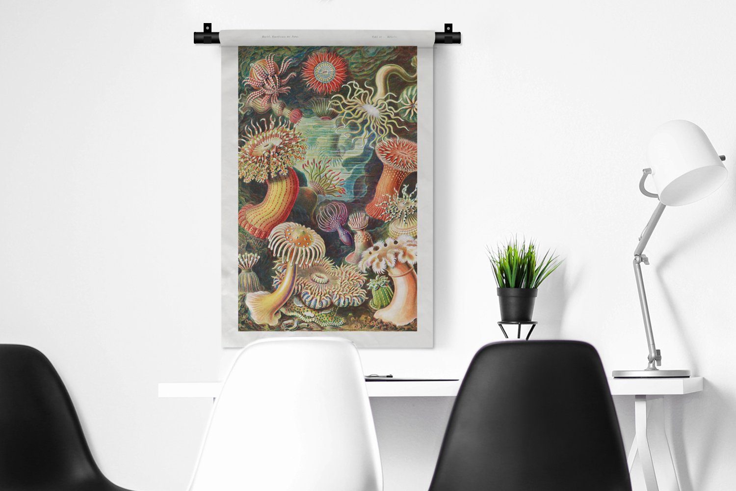 Schlafzimmer, Kinderzimmer - Haeckel - Wanddeko Retro Wandbehang, Natur Anemone Kleid, - MuchoWow Wohnzimmer, - Ernst für Wanddekoobjekt Pflanzen Meer, -