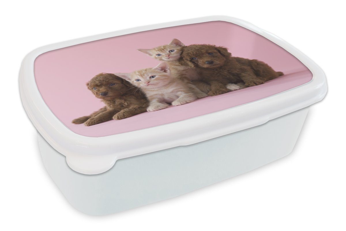 Lunchbox und Brotdose, Erwachsene, Mädchen und Welpe MuchoWow - für Jungs für Kätzchen weiß Kunststoff, - Brotbox Rosa, Kinder (2-tlg),