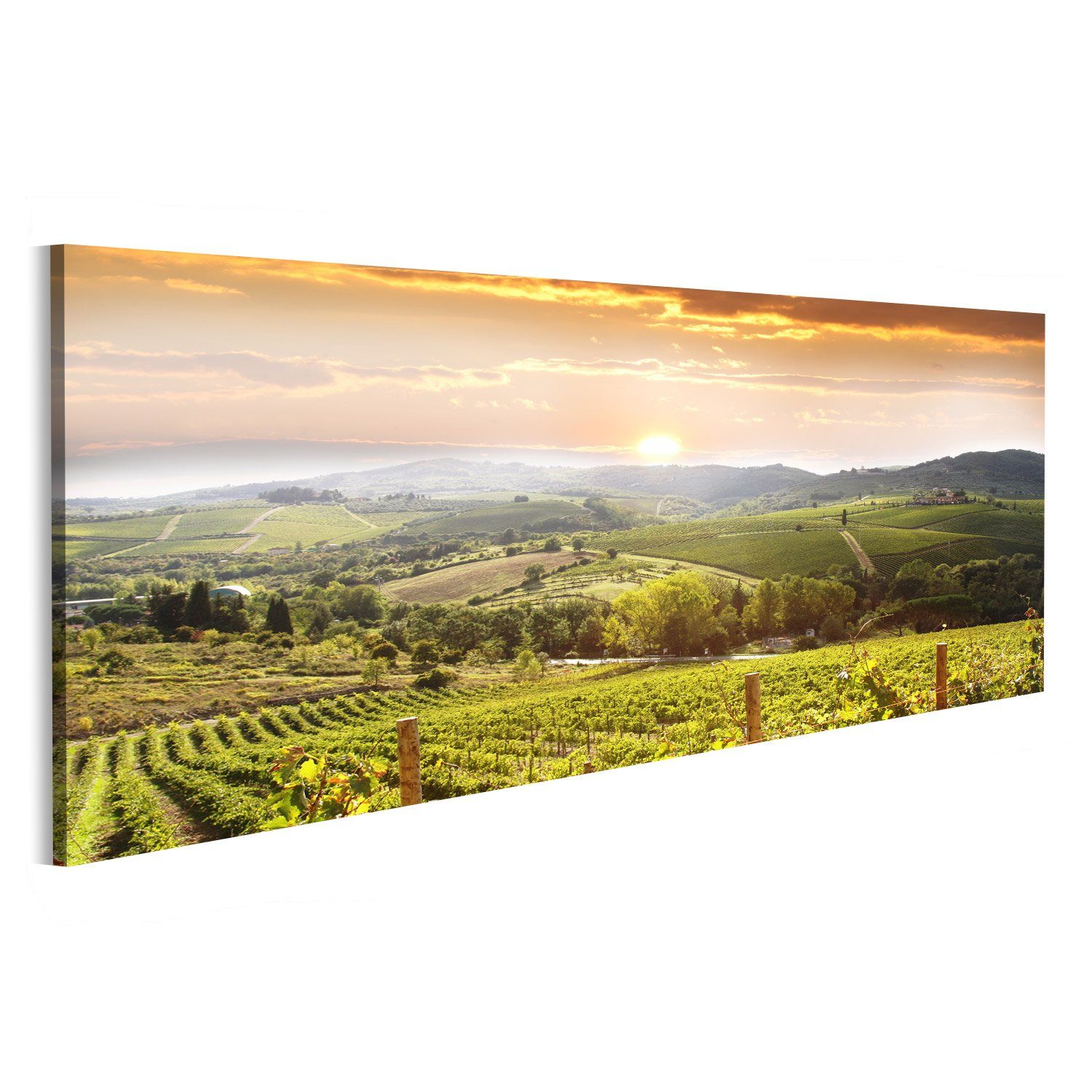 islandburner Leinwandbild Bild auf Leinwand Weinberg Chianti Toskana Wandbi günstig online kaufen