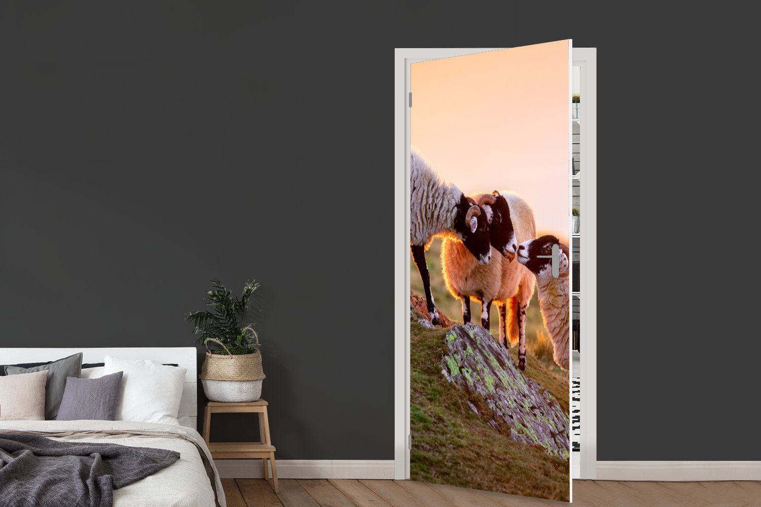 Tiere - Türtapete Sonnenuntergang, (1 75x205 Schafe Türaufkleber, St), Matt, bedruckt, cm für Fototapete - Tür, MuchoWow