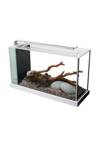 FLUVAL Аквариум »Nano-Aquarium Spec 5&l...