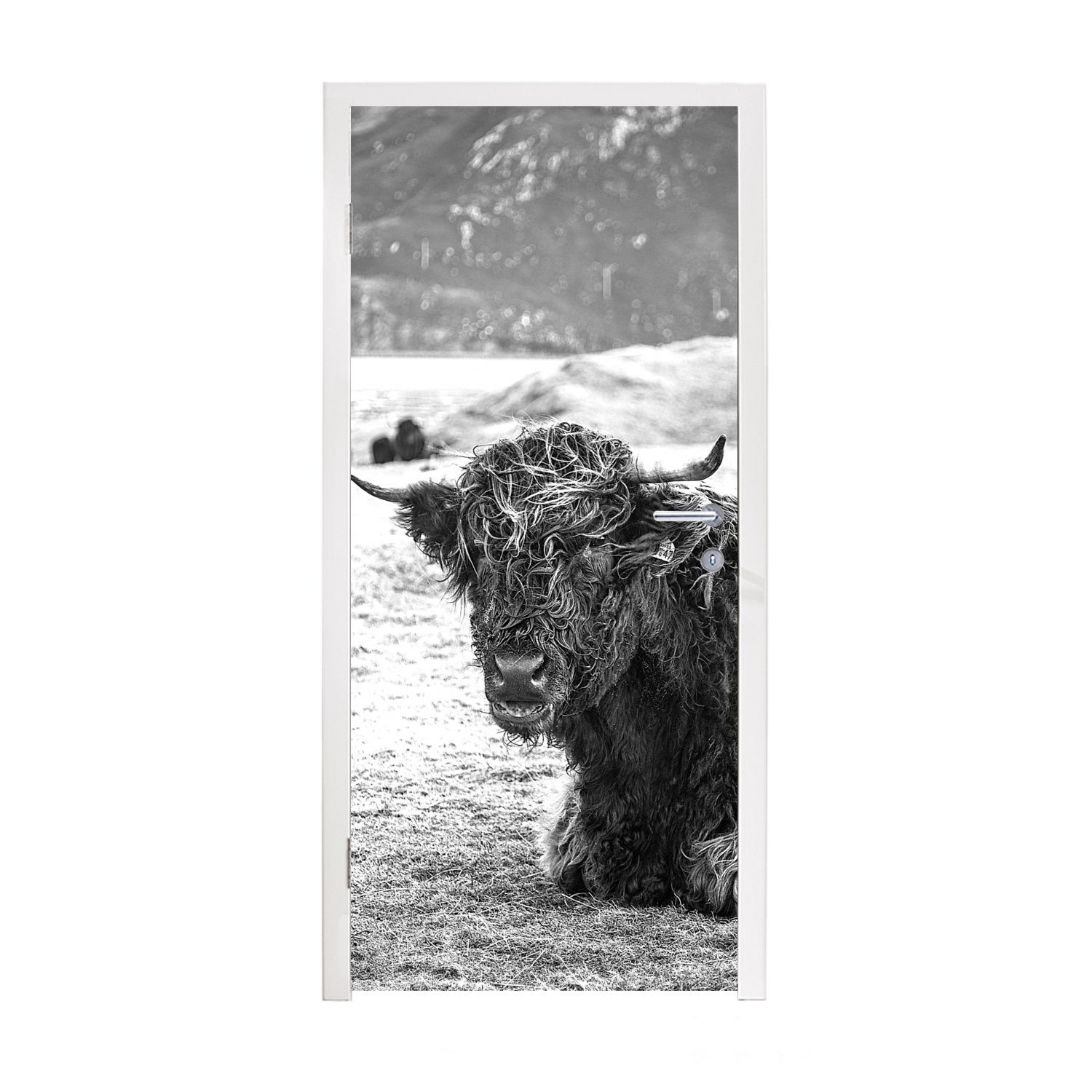 MuchoWow Türtapete Schottischer Highlander - Berg - Tiere, Matt, bedruckt, (1 St), Fototapete für Tür, Türaufkleber, 75x205 cm