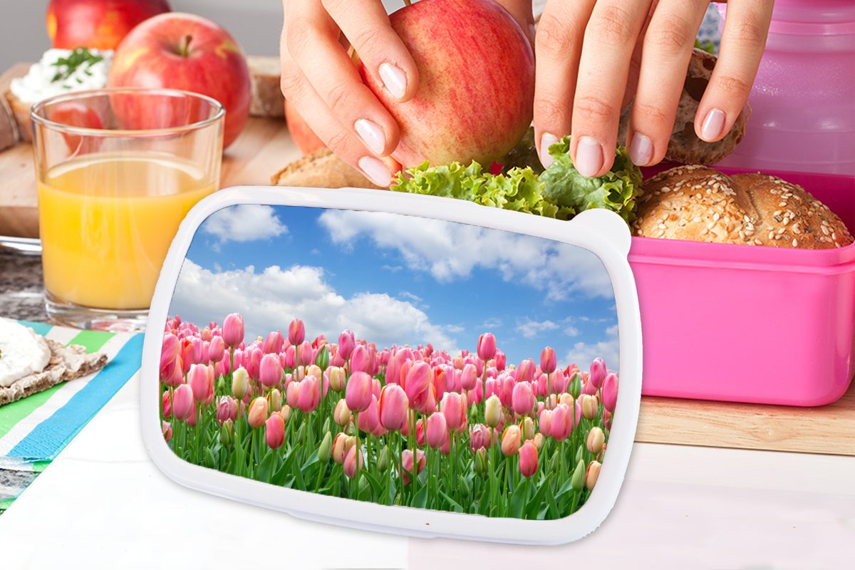 - Brotbox Erwachsene, für (2-tlg), Lunchbox rosa Farben Snackbox, Kunststoff, MuchoWow Kunststoff Brotdose Tulpen Frühling, - Kinder, Mädchen,