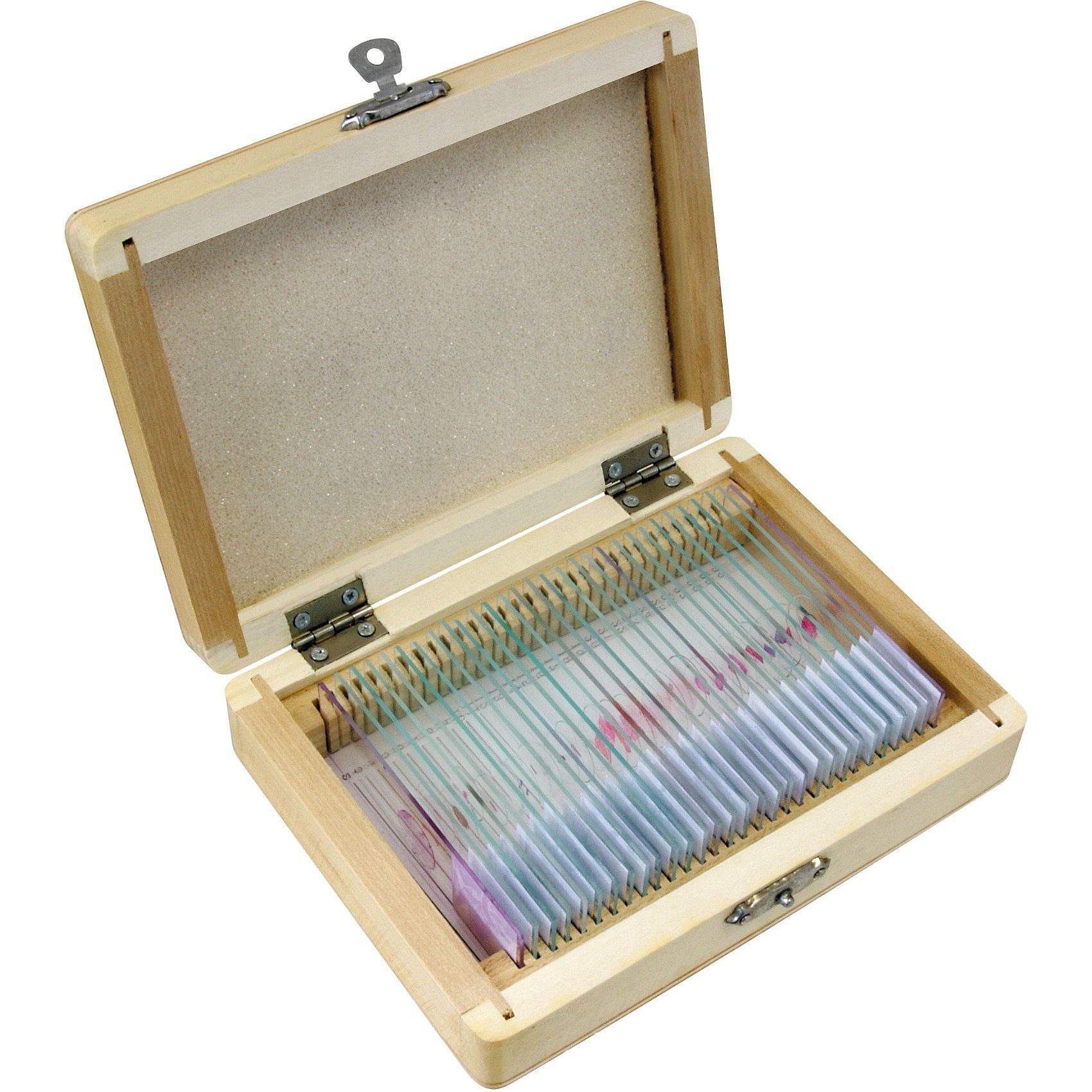 BRESSER Dauerpräparate 25 St./Box - Biologie
