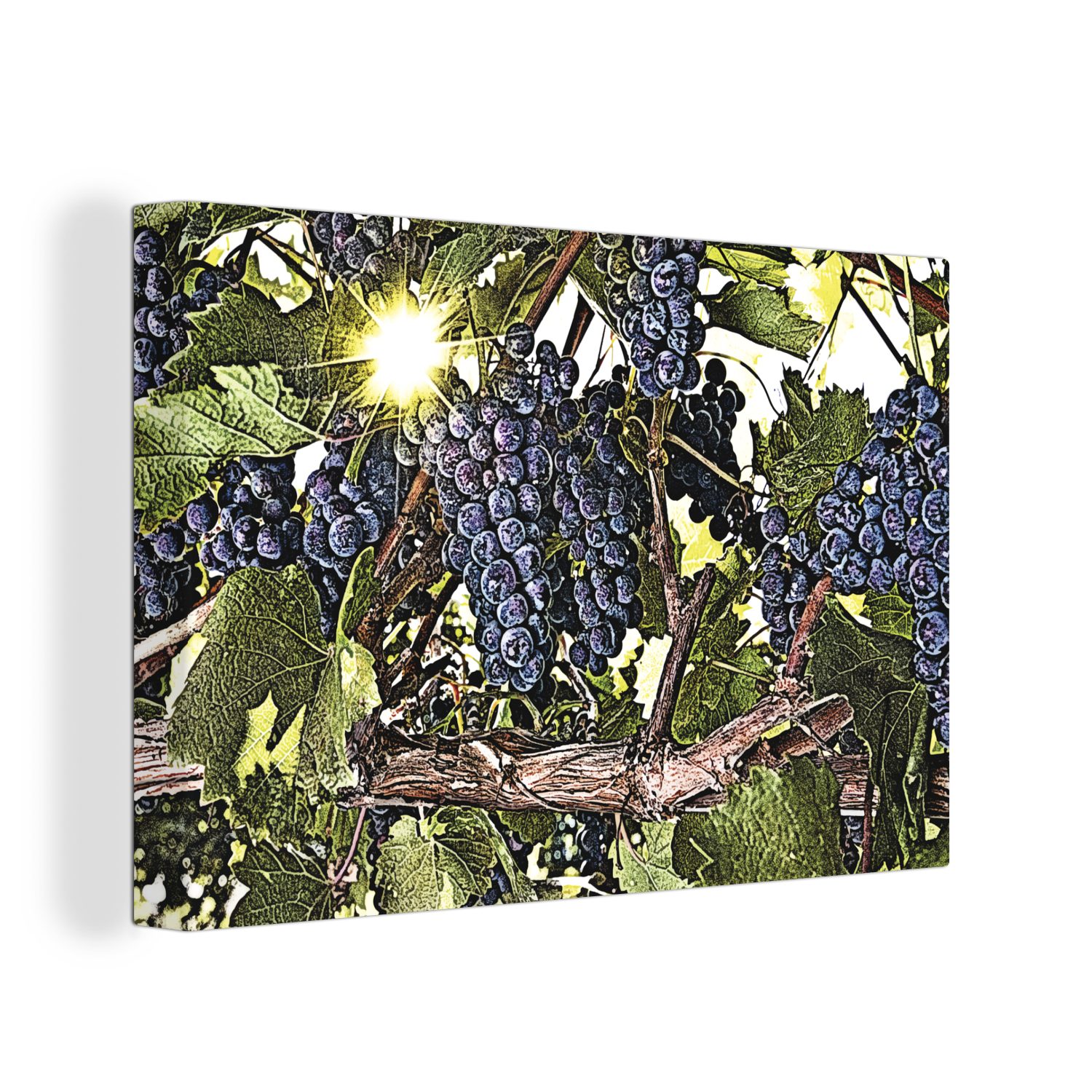 OneMillionCanvasses® Leinwandbild Eine Illustration eines Weinstocks voller Trauben, (1 St), Wandbild Leinwandbilder, Aufhängefertig, Wanddeko, 30x20 cm
