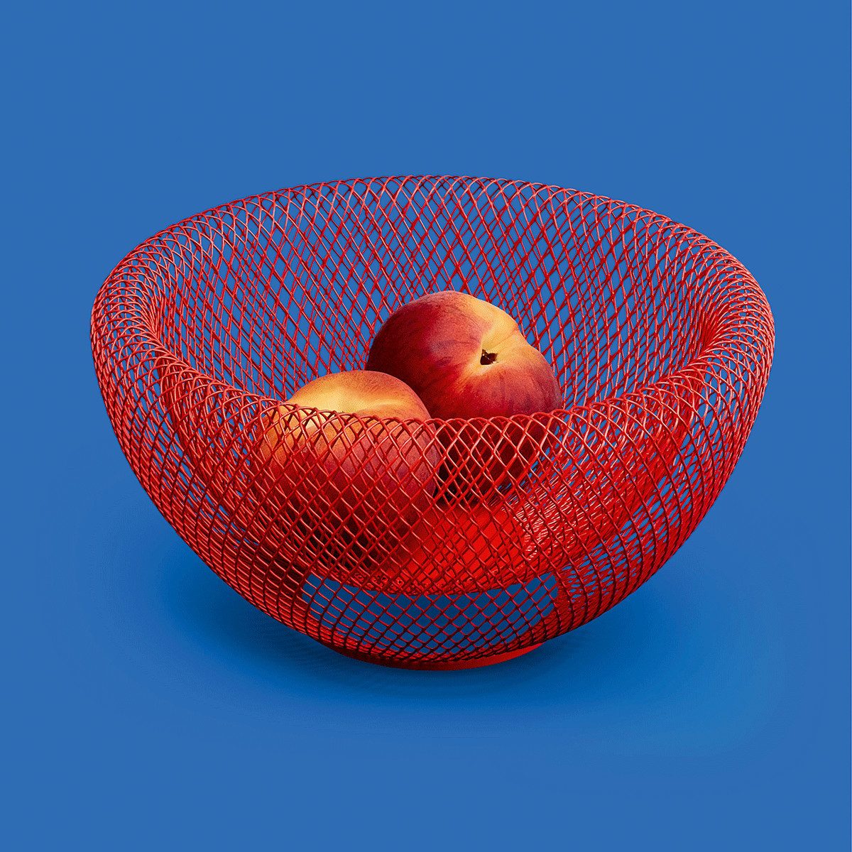Schale MOMA Wire MESH Bowls, OBSTSCHALEN Rot