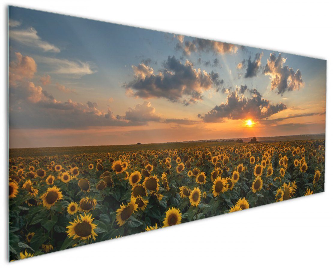 mit Küchenrückwand vor Sonnenuntergang, Sonnenblumenwiese (1-tlg) Wallario Wolken