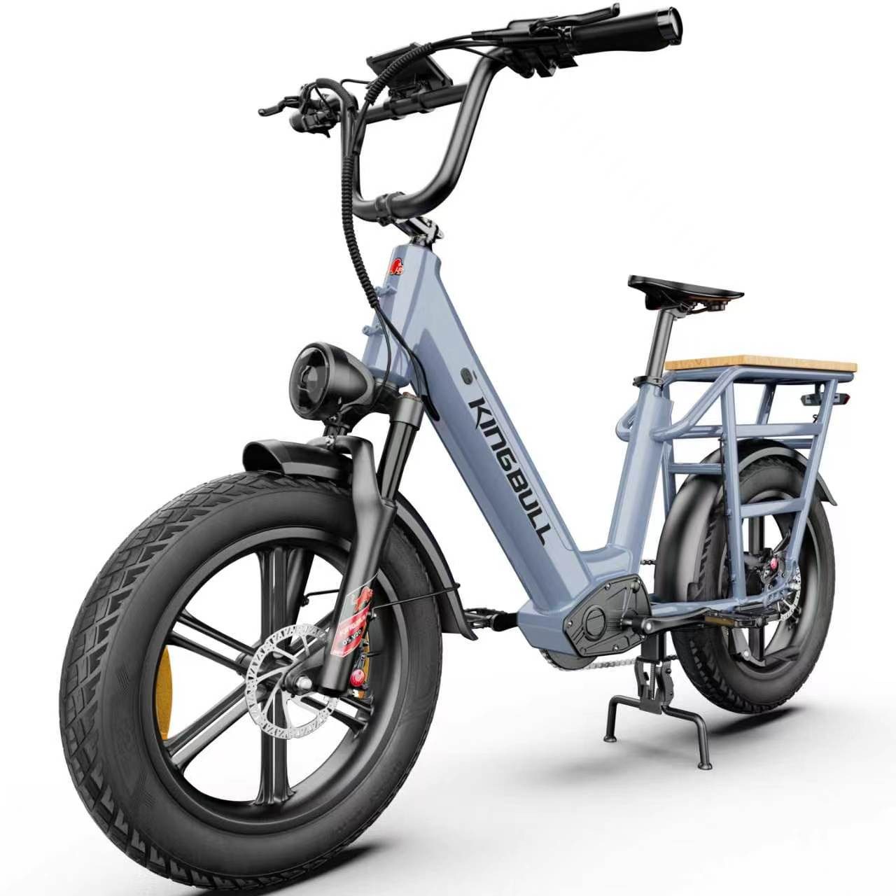 Vankel E-Bike Cityrad Cargo Damen u. Herren 20"x4" 960Wh 48V, max.100km Hydraulikbremsen, Kettenschaltung, Heckmotor, 960 Wh, (Beleuchtungsset mit Batterieladegerät, Batterieschlüssel, Werkzeug), Lasten-Elektrofahrrad mit Fat-Reifen, großem Transportträge