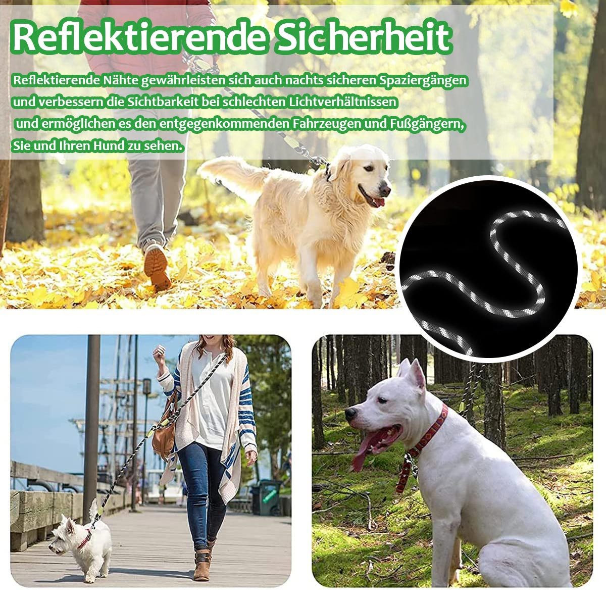 Refttenw Hundeleine Freihandleinen Hundeleine,schleppleine,Reflektierend,250cm