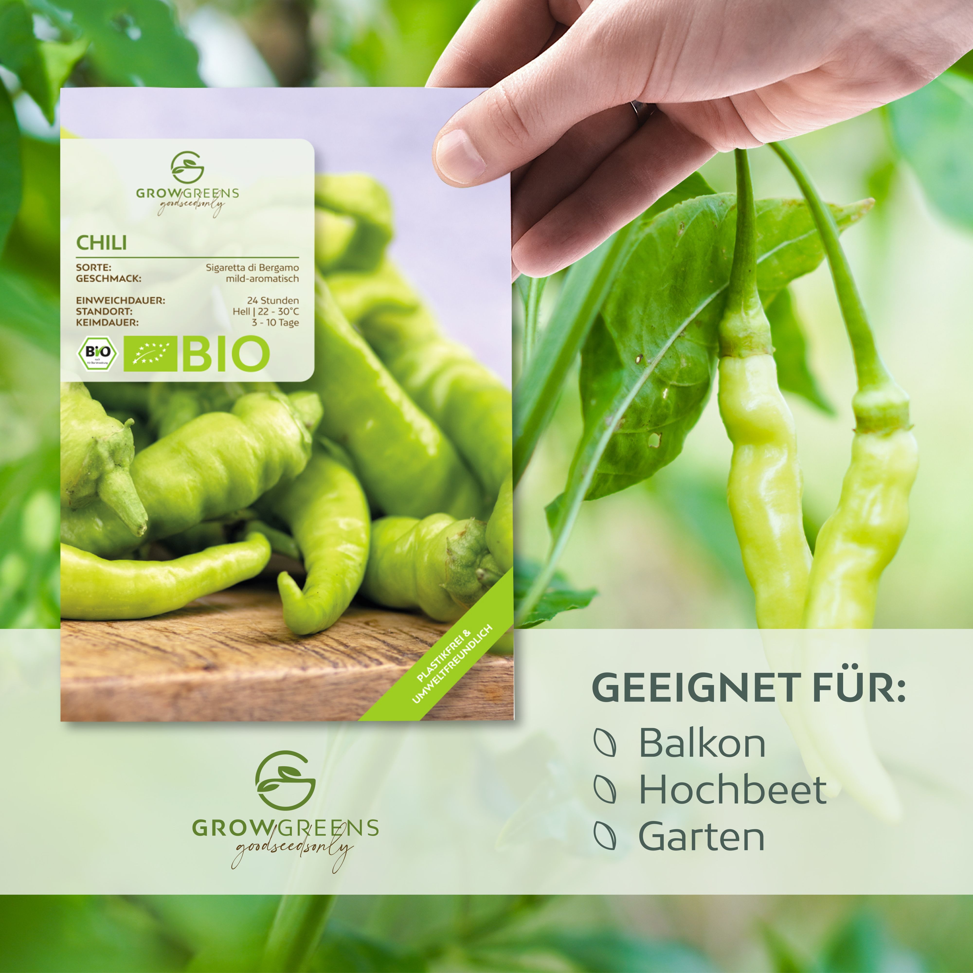Growgreens Gemüsesamen BIO Chili Samen (Sigaretta di Bergamo, 1.500 Scoville) - 10 Korn, Chili