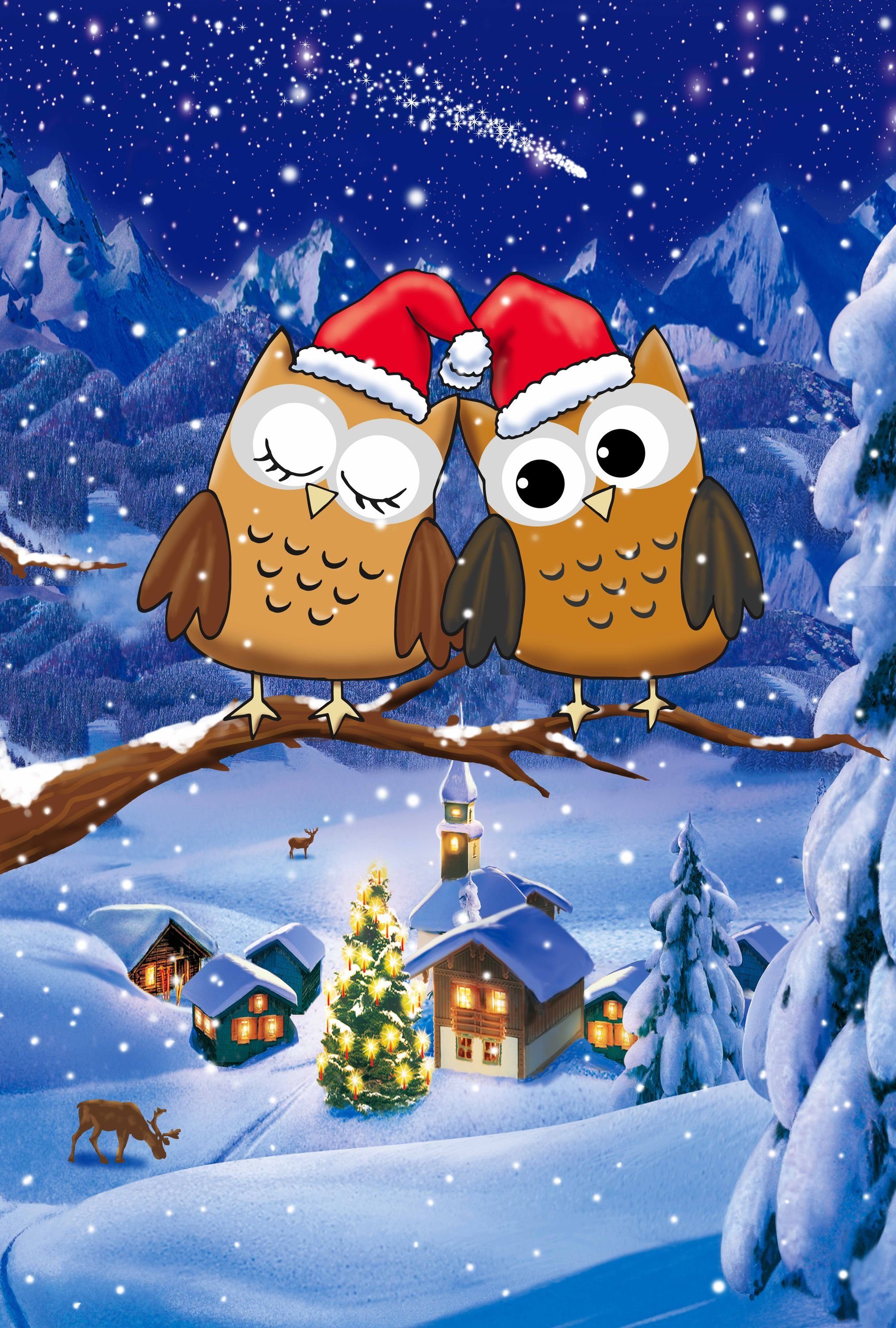 Leonado Vicenti Bettwäsche Winter flauschig warm, günstig online kaufen