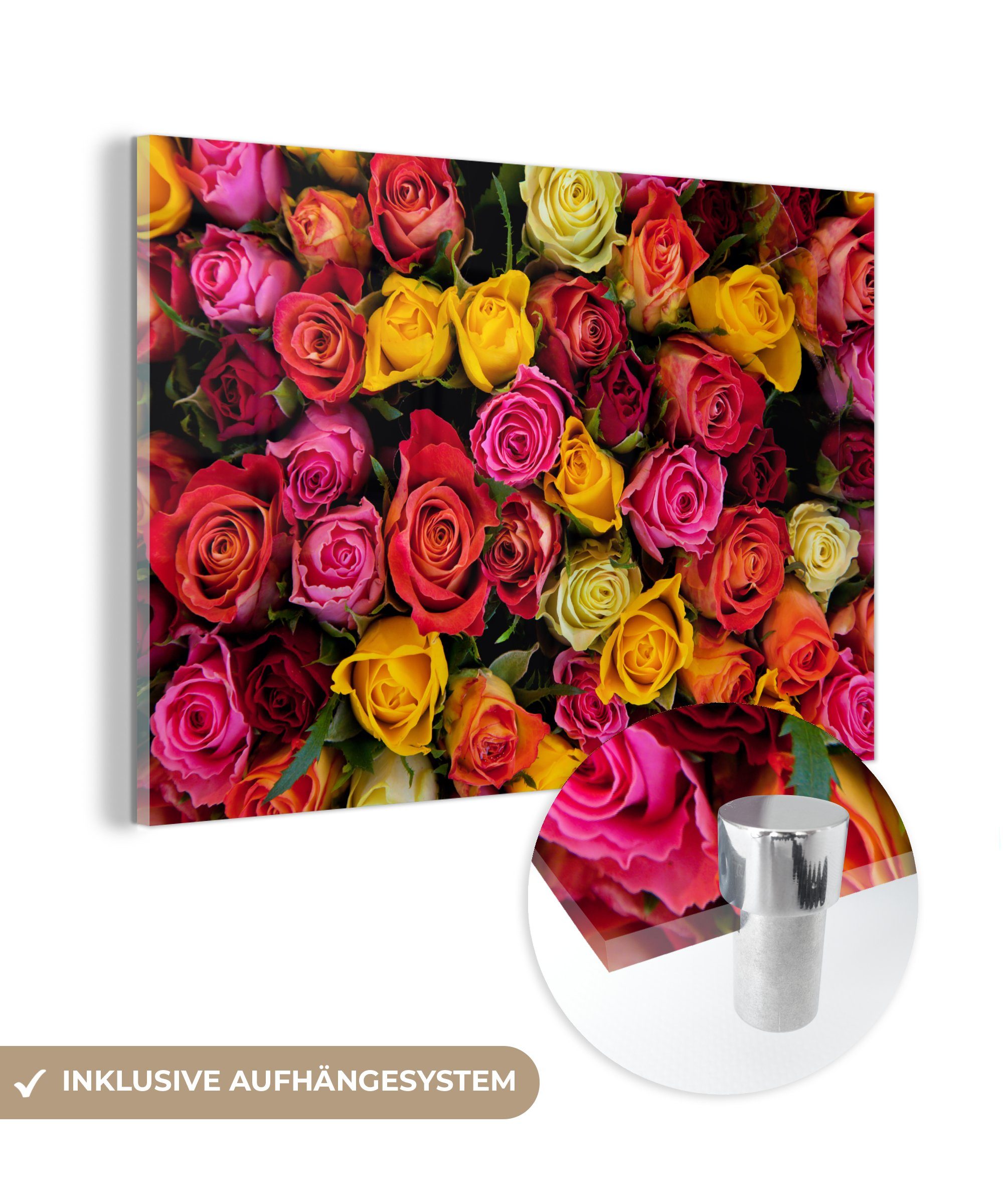 MuchoWow Acrylglasbild Rosen - Rosa - Rot, (1 St), Acrylglasbilder Wohnzimmer & Schlafzimmer