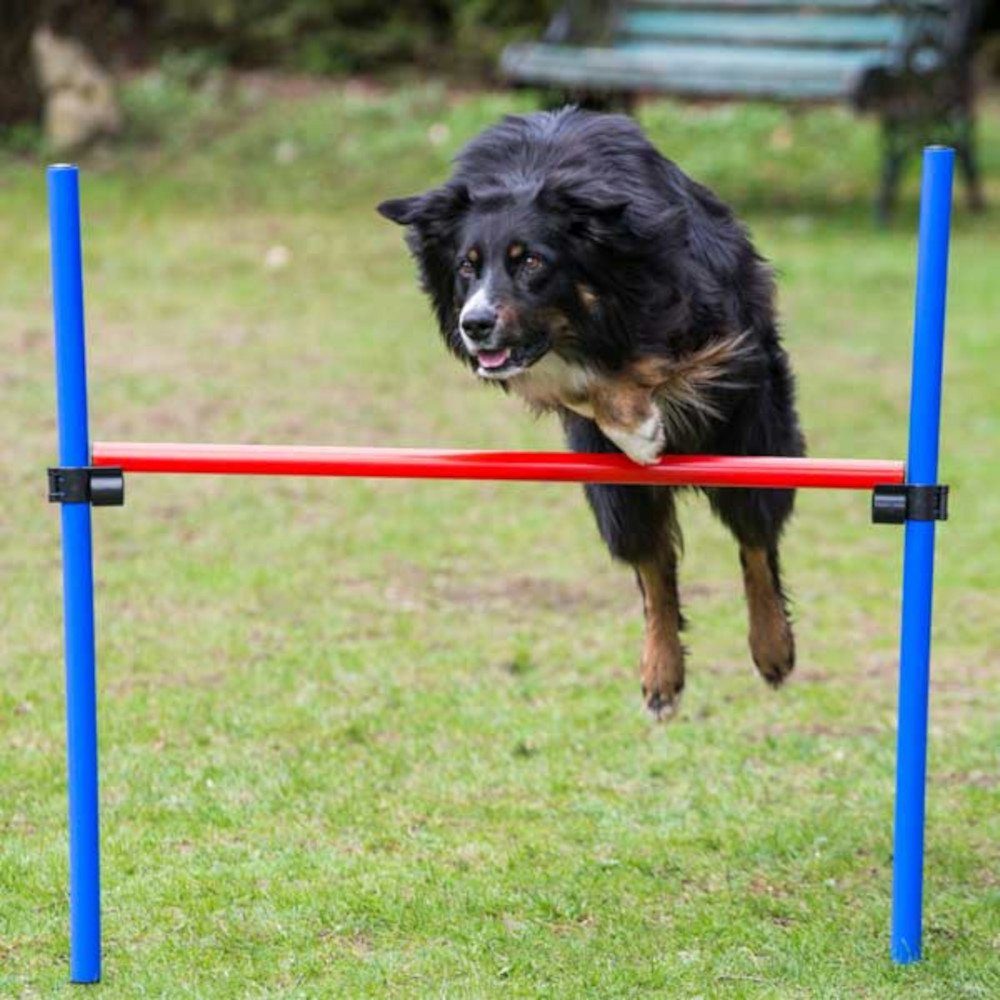 Procyon Agility-Hürde PROCYON Obedience Hürde - offen