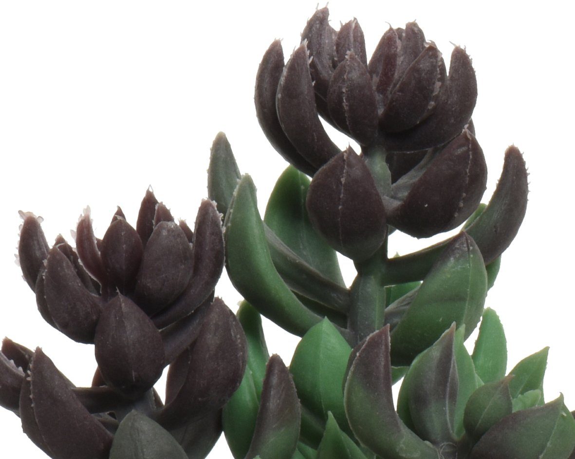 Kunstpflanze, Decoris season decorations, Kunstblumen Sukkulenten günstig online kaufen