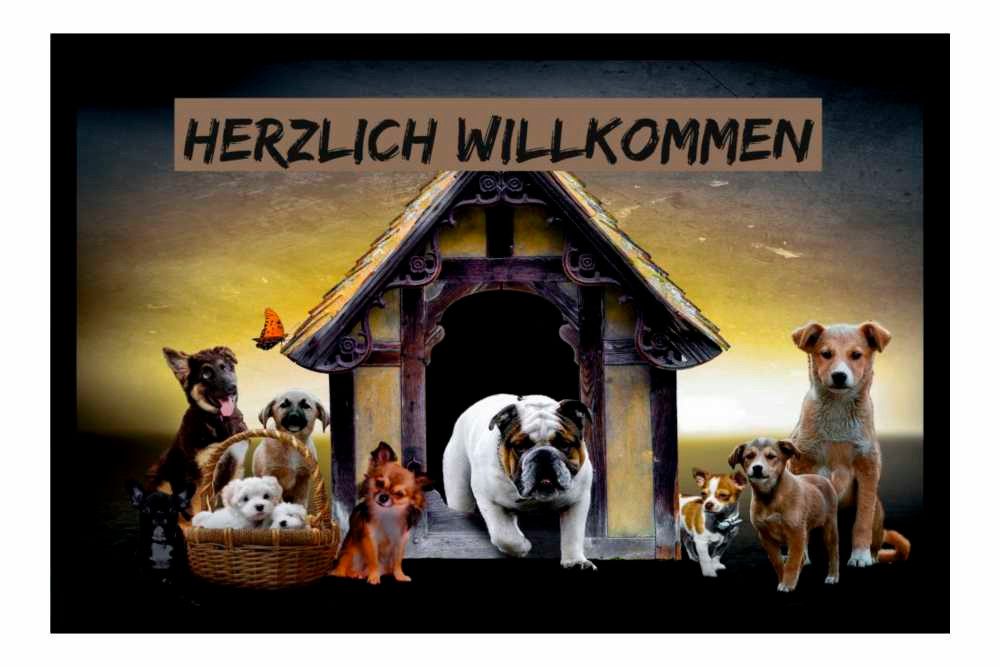 Ladreas Fußmatte Schmutzfangmatte Herzlich Willkommen Hund Hunde F781, 60x40