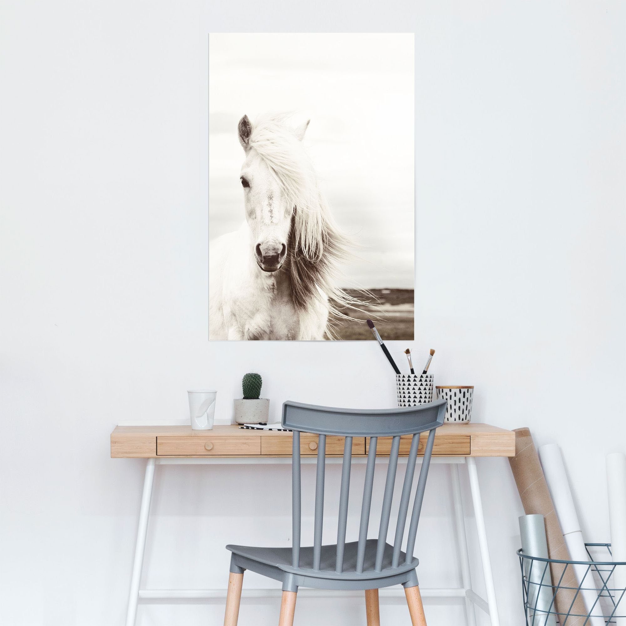 Pferde Weißes Poster St) Reinders! Pferd, Poster (1