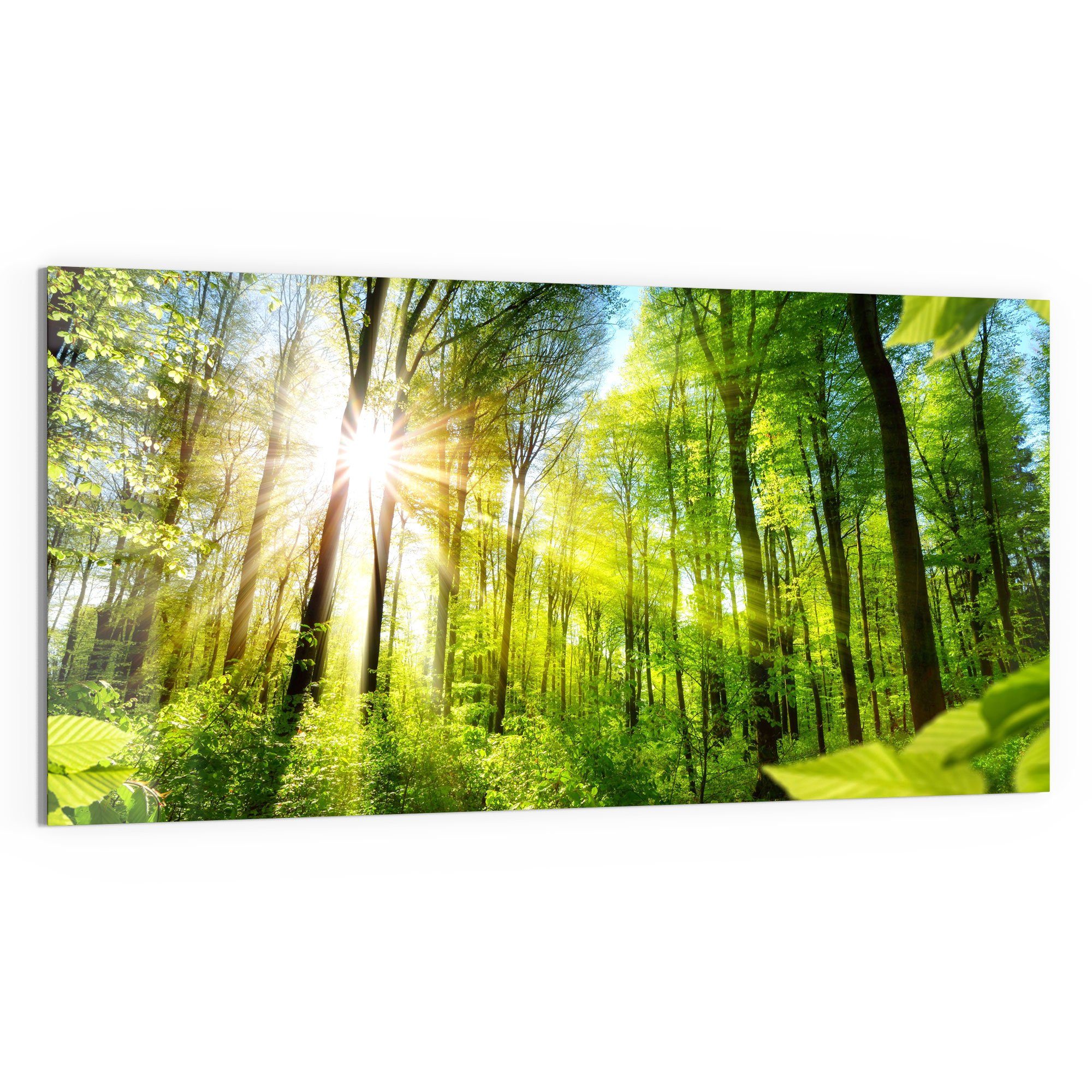 DEQORI Glasbild 'Licht durchdringt Bäume', 'Licht günstig online kaufen