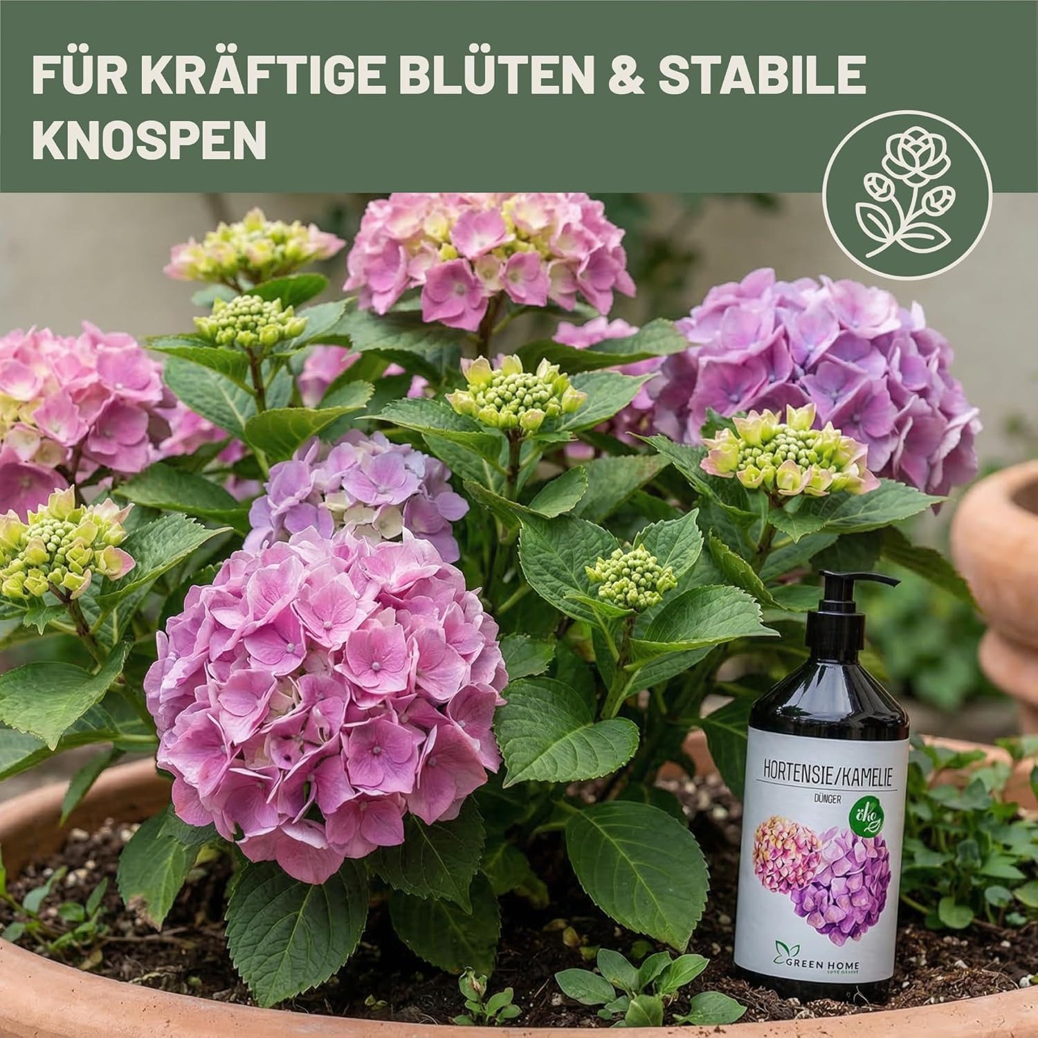 GREEN HOME LOVE NATURE Blumendünger Flüssigdünger NPK 5+5+7 für Hortensien, Kamelien & Moorbeetpflanzen, Hortensie & Kamelie, NPK 5+5+7, Spurennährstoffe, chelatiert, Dosierpumpe