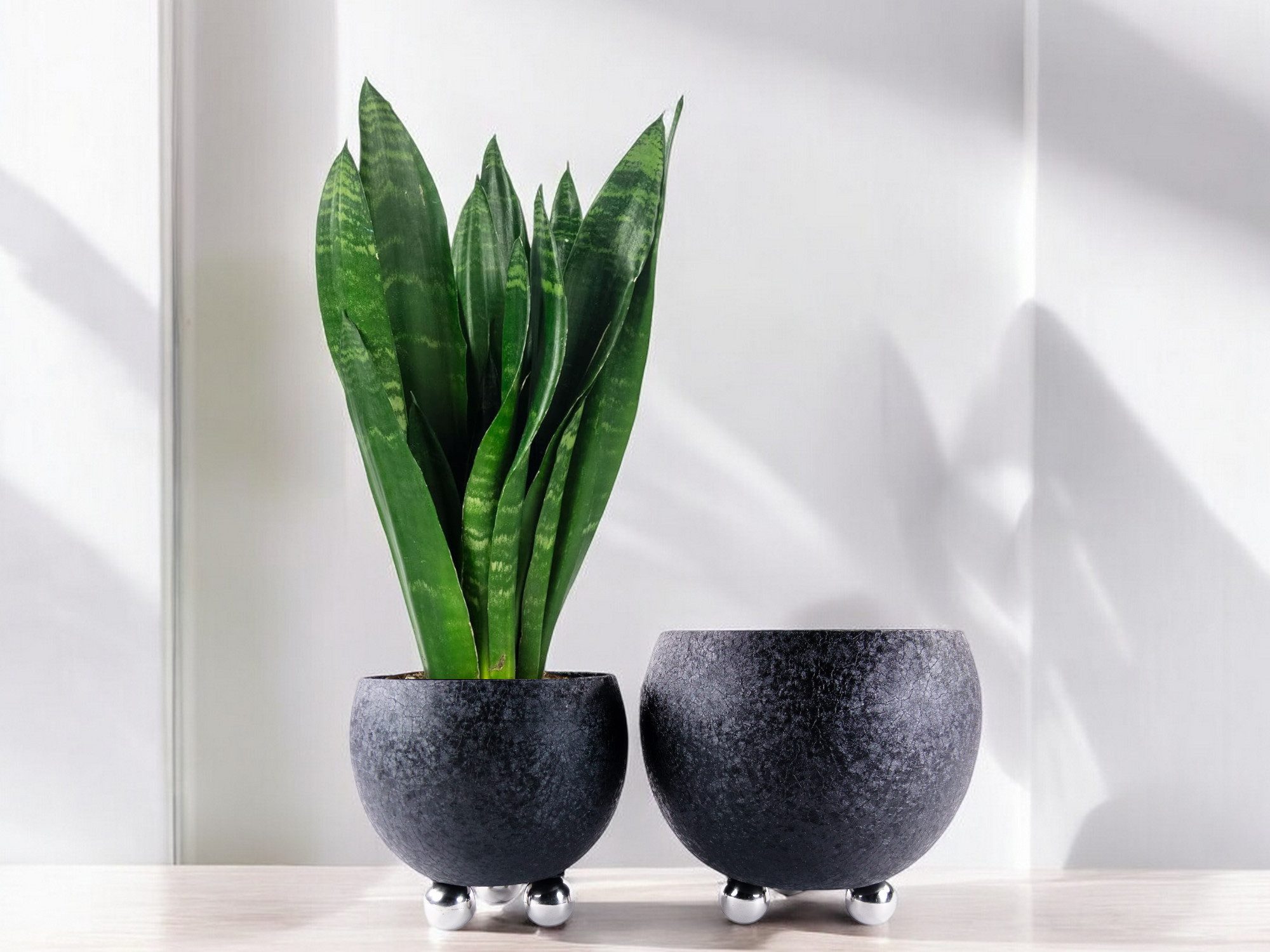 trends for living Pflanzkübel Blumentopf Pflanzentopf Kübel in Schwarz mit Edelstahlfüßen 4 Größen