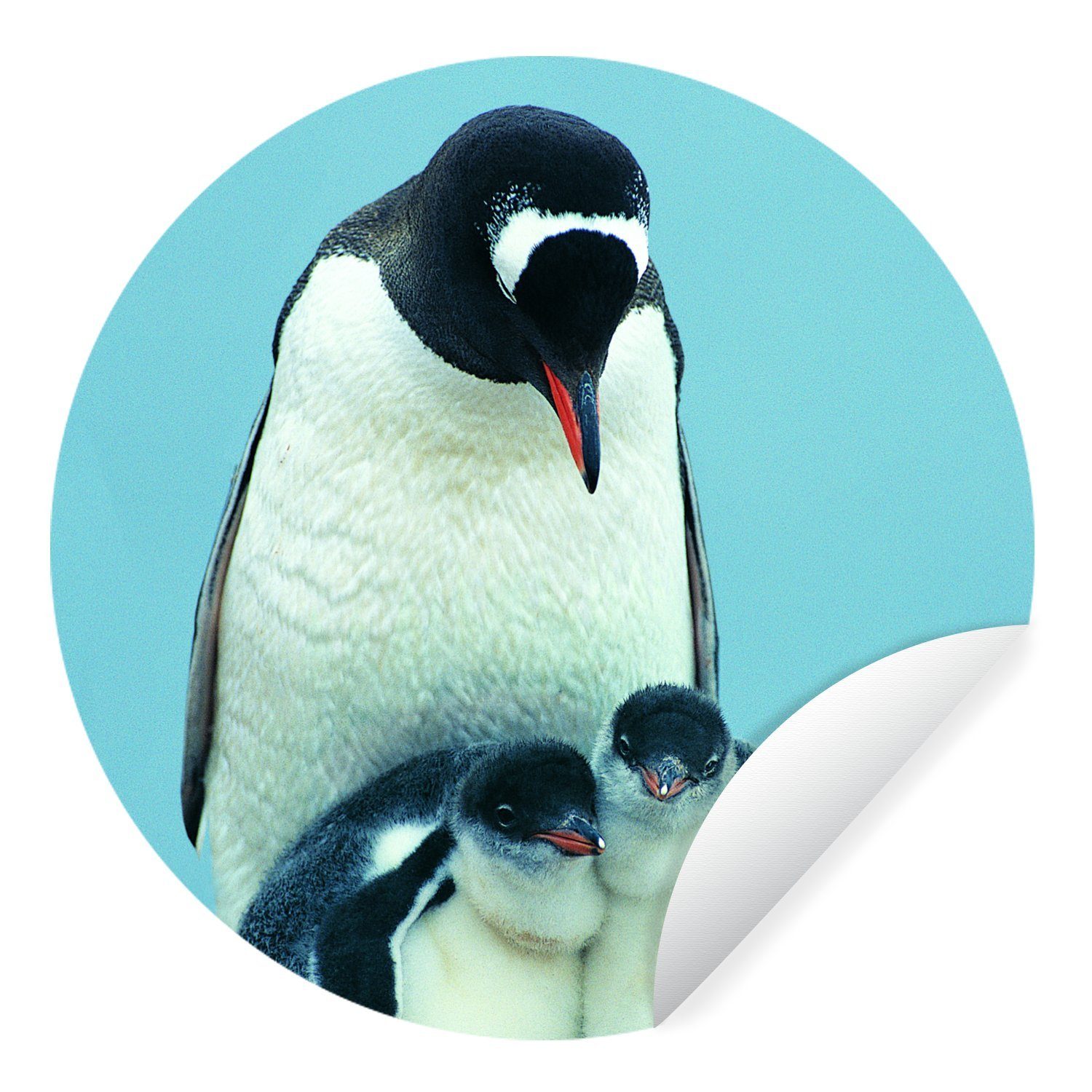 MuchoWow Wandsticker Tiere - Pinguine - Küken (1 St), Tapetenkreis für Kinderzimmer, Tapetenaufkleber, Rund, Wohnzimmer