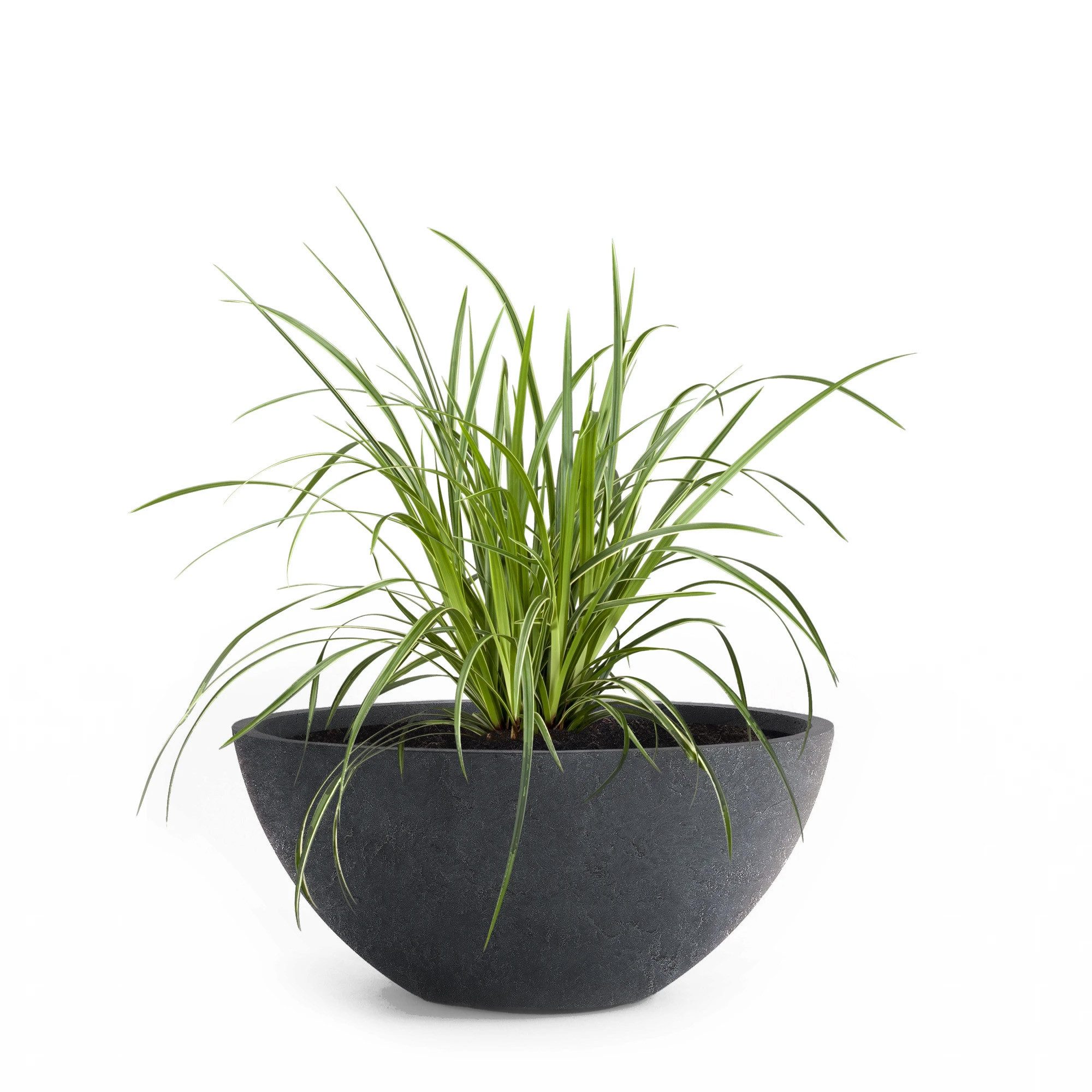 Pflanzwerk® Pflanzschale Pflanzkübel BOWL Frostbeständige Premium Blumenschale mit Lotus-Effekt, Fiberglas - Handgefertigt - Rund - Frostbeständig