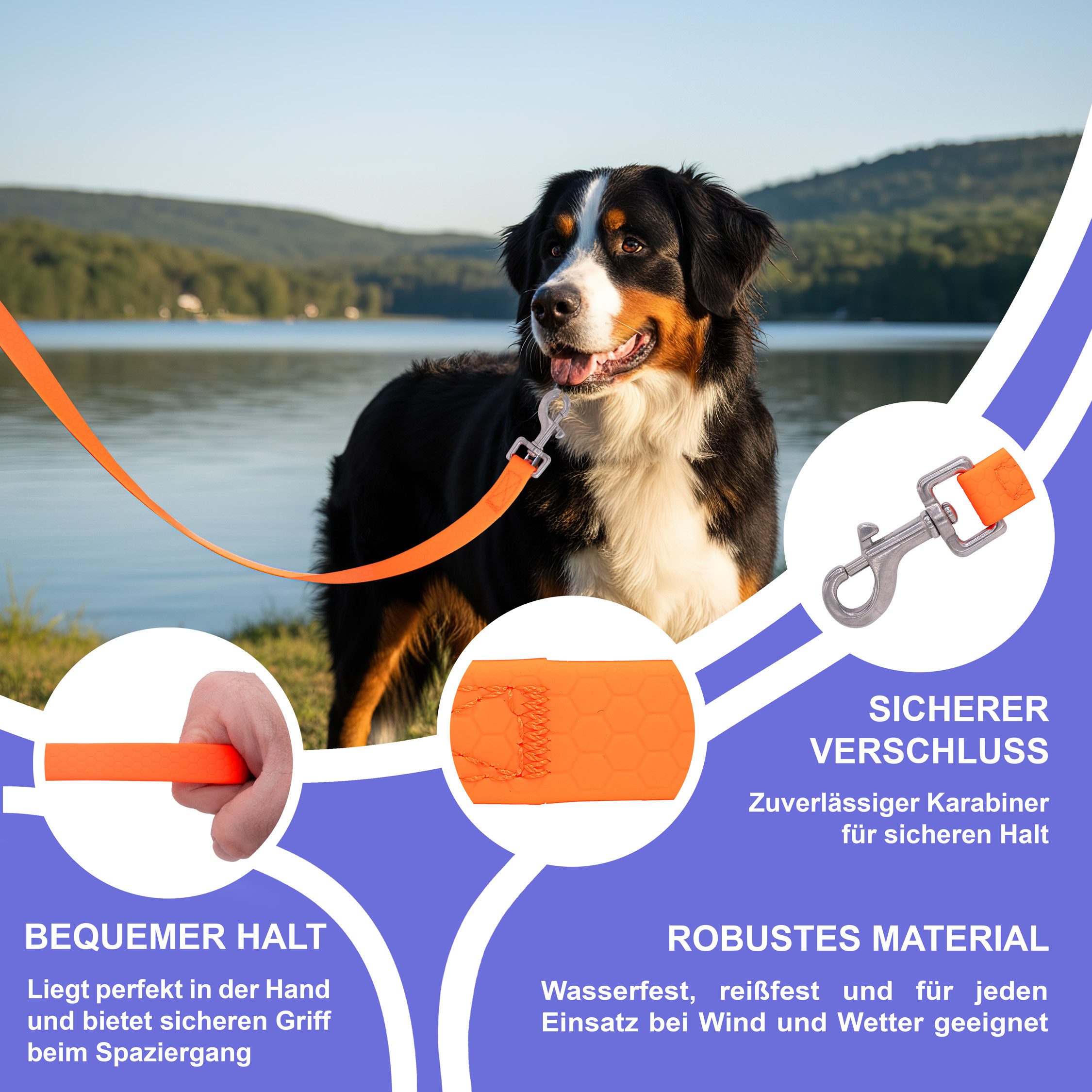 Reichstadt Hundeleine RS Pets Führleine Texturierte PVC 25RSP085, PVC, Weiche Handschlaufe mit Soft-Wrist-Strap