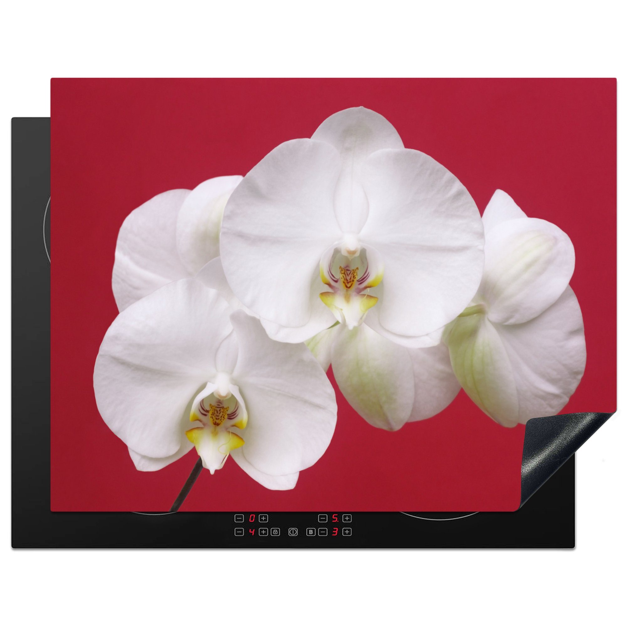 Arbeitsplatte auf Herdblende-/Abdeckplatte Orchidee Weiße (1 Vinyl, cm, küche für tlg), Rot, Ceranfeldabdeckung, 77x59 MuchoWow