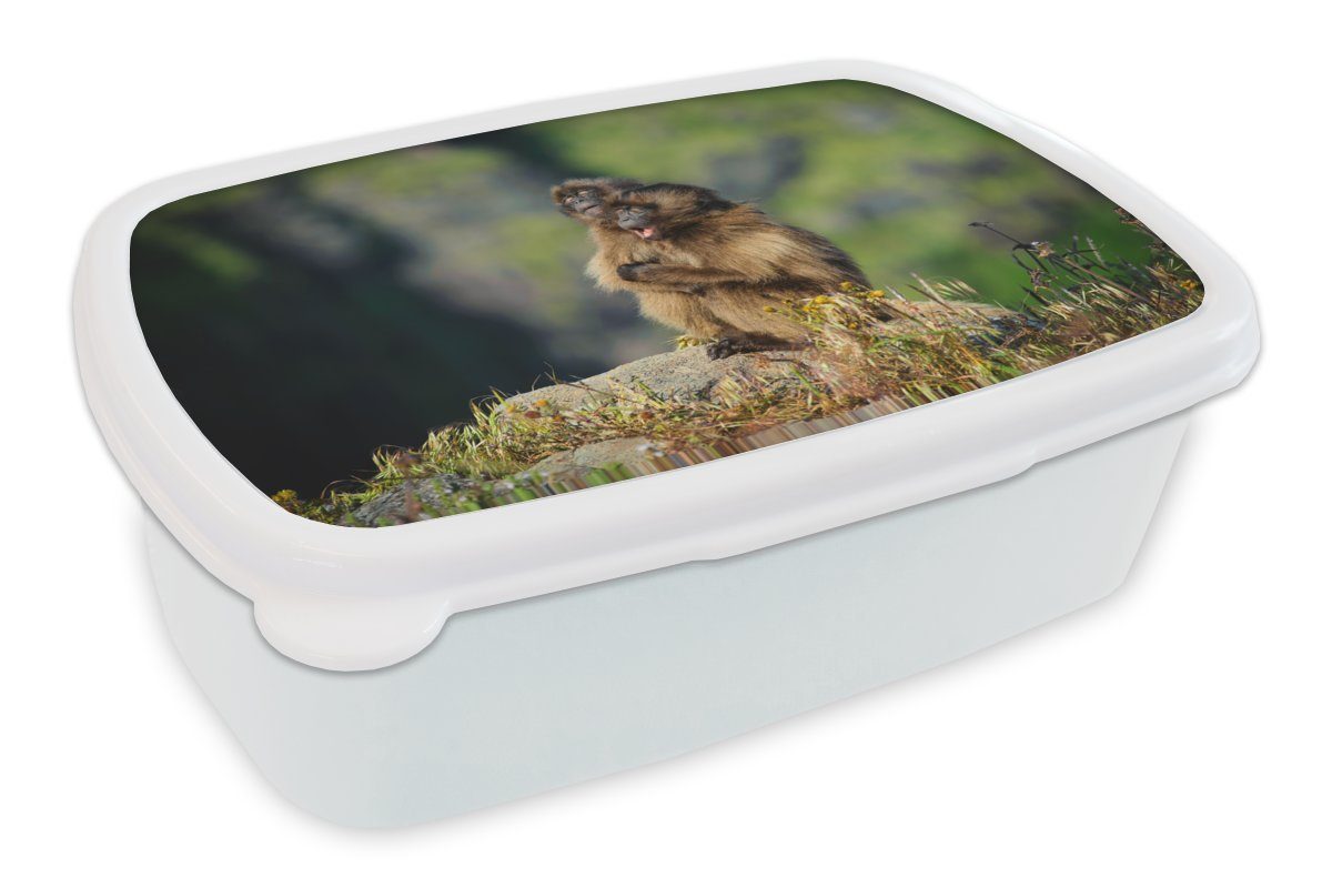 MuchoWow Lunchbox Affen - Pflanzen - Steine - Familie, Kunststoff, (2-tlg), Brotbox für Kinder und Erwachsene, Brotdose, für Jungs und Mädchen weiß