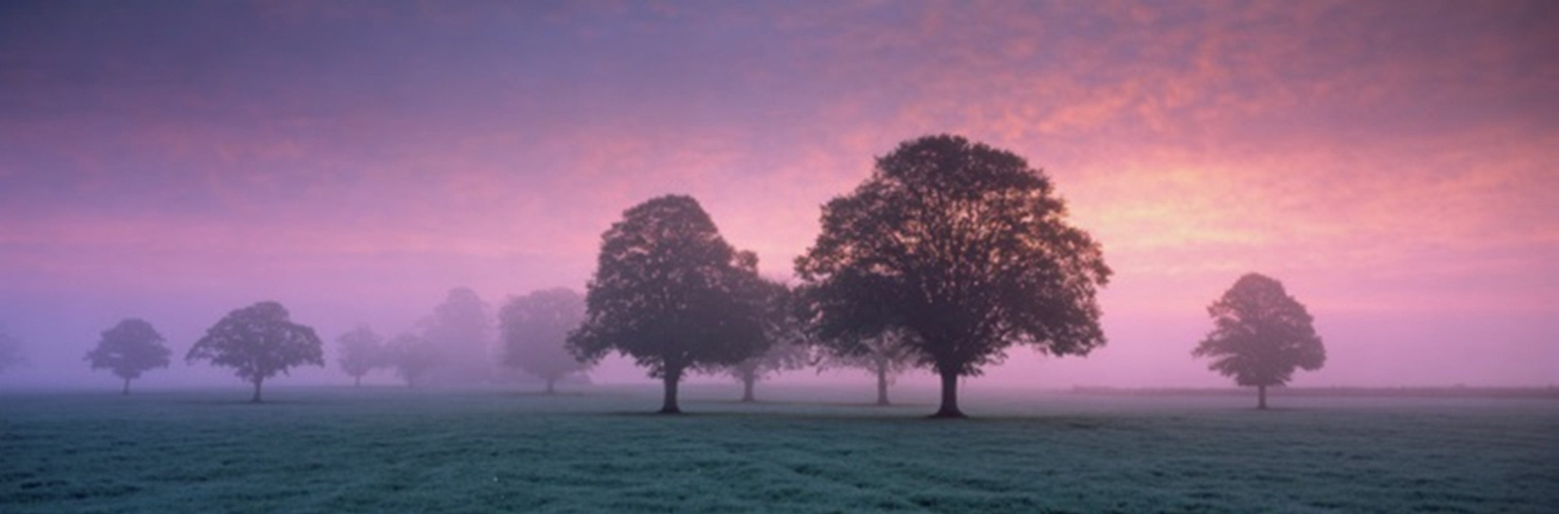 Home affaire Leinwandbild »Abendnebel«, 160/55 cm-Otto