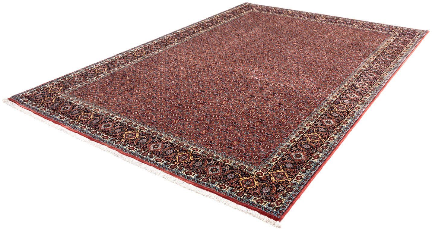 Wollteppich Bidjar Takab Stark Gemustert Rosso 306 x 204 cm, morgenland, rechteckig, Höhe: 13 mm, Unikat mit Zertifikat | Kurzflor-Teppiche