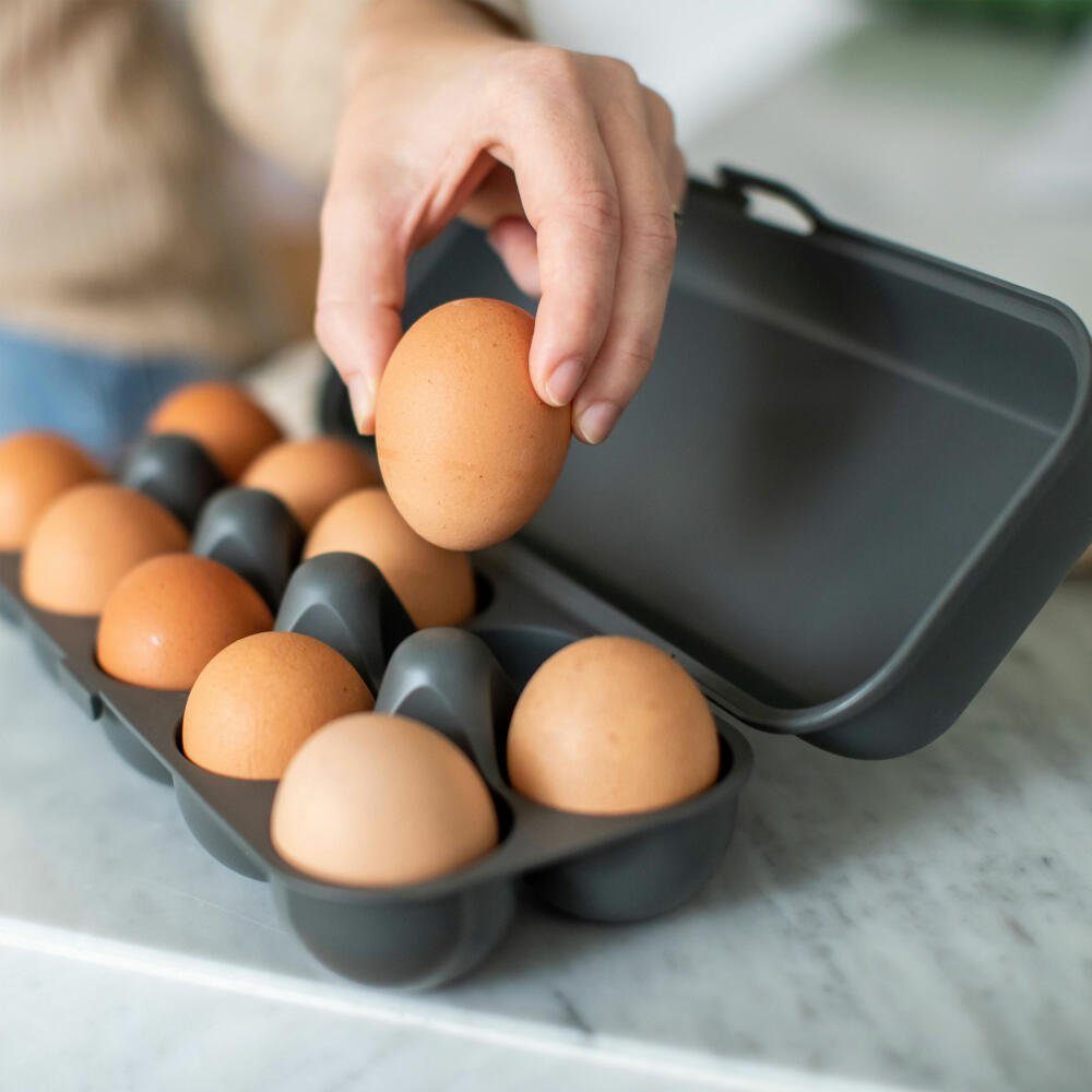 KOZIOL Eierkorb Eierbox Eggs To Go Nature Ash Grey, Kunststoff, für 10 Eier