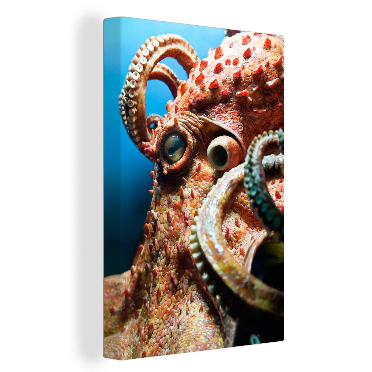 OneMillionCanvasses® Leinwandbild Der Kopf eines Oktopus, (1 St), Leinwandbild fertig bespannt inkl. Zackenaufhänger, Gemälde, 20x30 cm