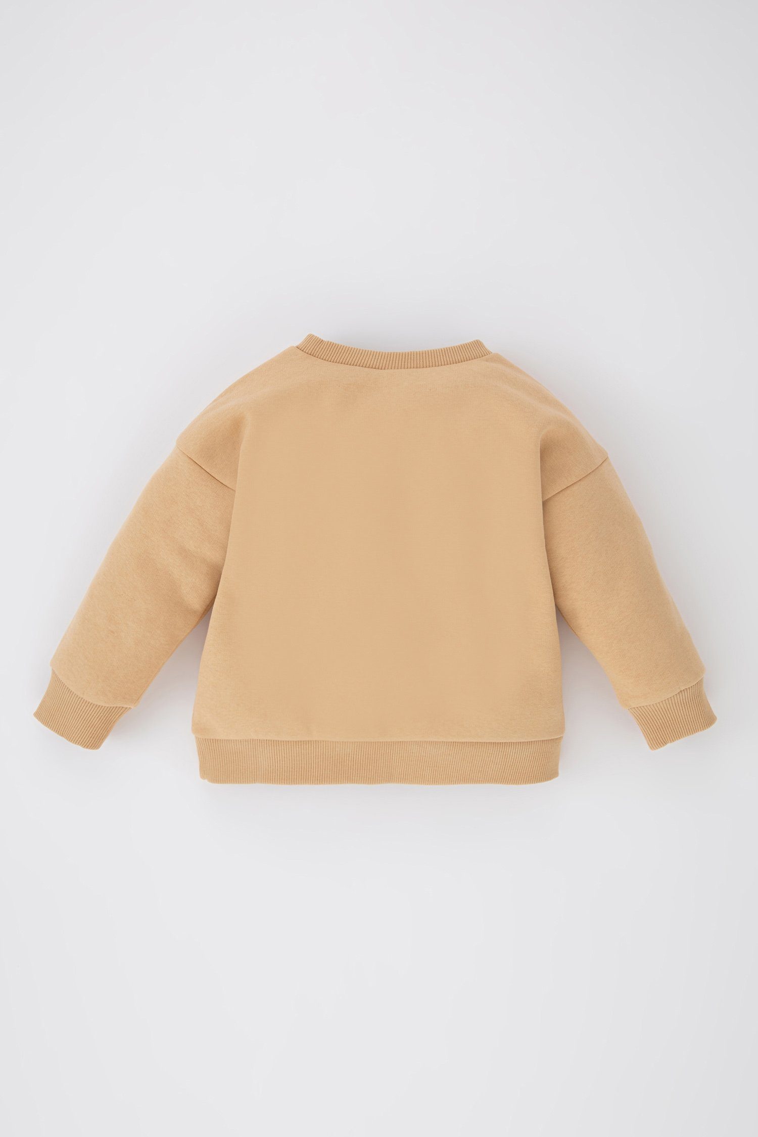 Sweatshirt BabyBoy Sweatshirt DeFacto FIT REGULAR