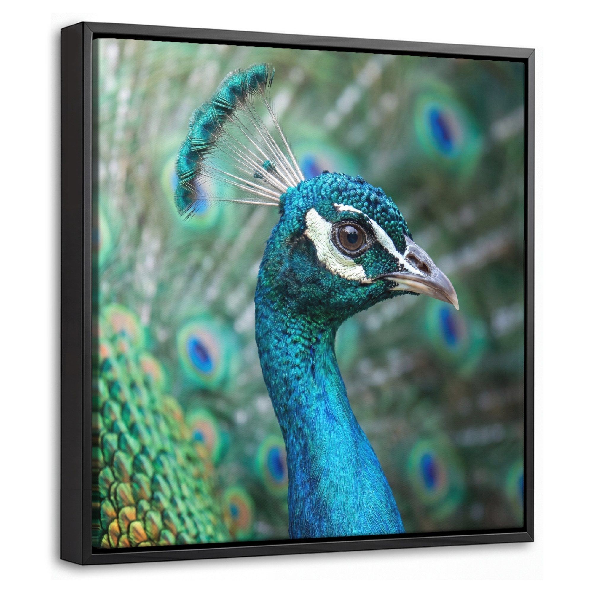 OneMillionCanvasses® Leinwandbild mit Rahmen - Pfau - Federn - Blau, Fotodruck (1 St), Leinwand Bilder Klein, Wand Dekoration Aesthetic 20x20cm