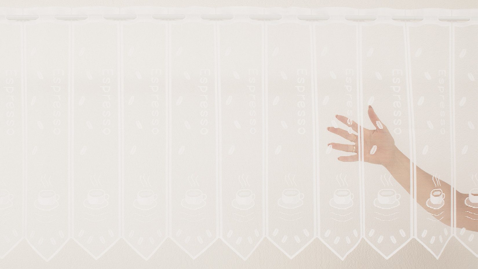 Gardinen Kranzusch Scheibengardine Espresso, Stangendurchzug, transparent, günstig online kaufen