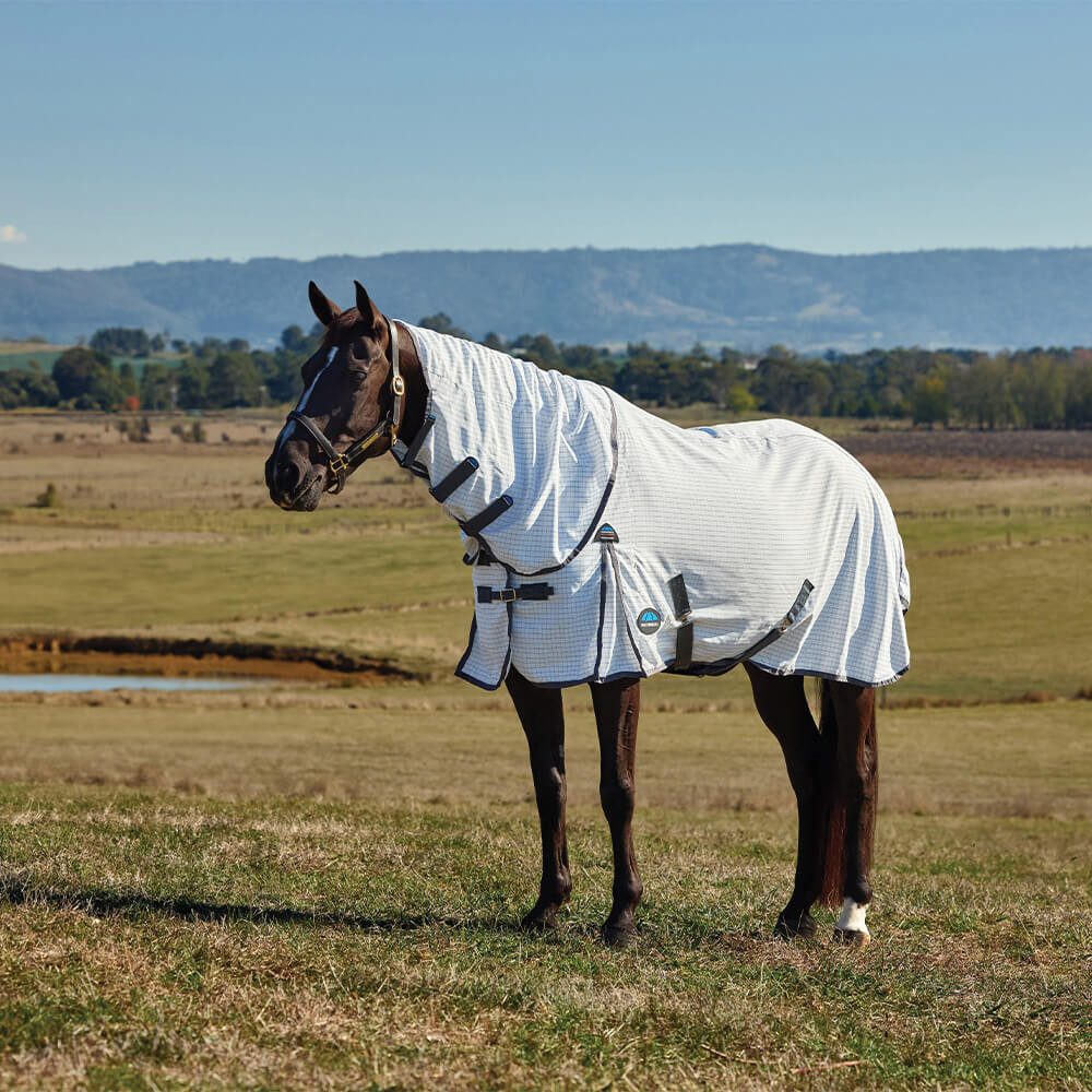 WeatherBeeta Paddockdecke Weatherbeeta Hybrid Sheet Combo