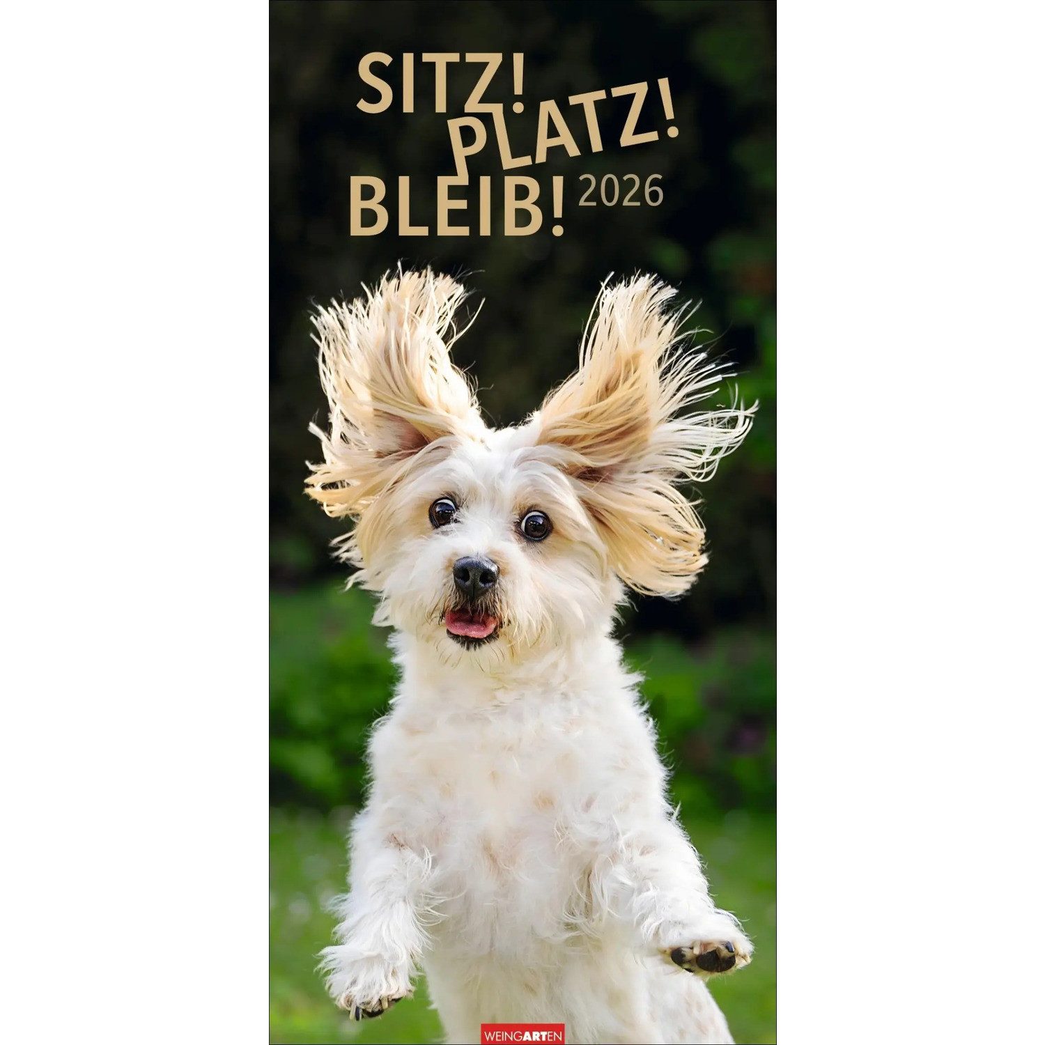 Wandkalender Sitz! Platz! Bleib! Календарі 2026