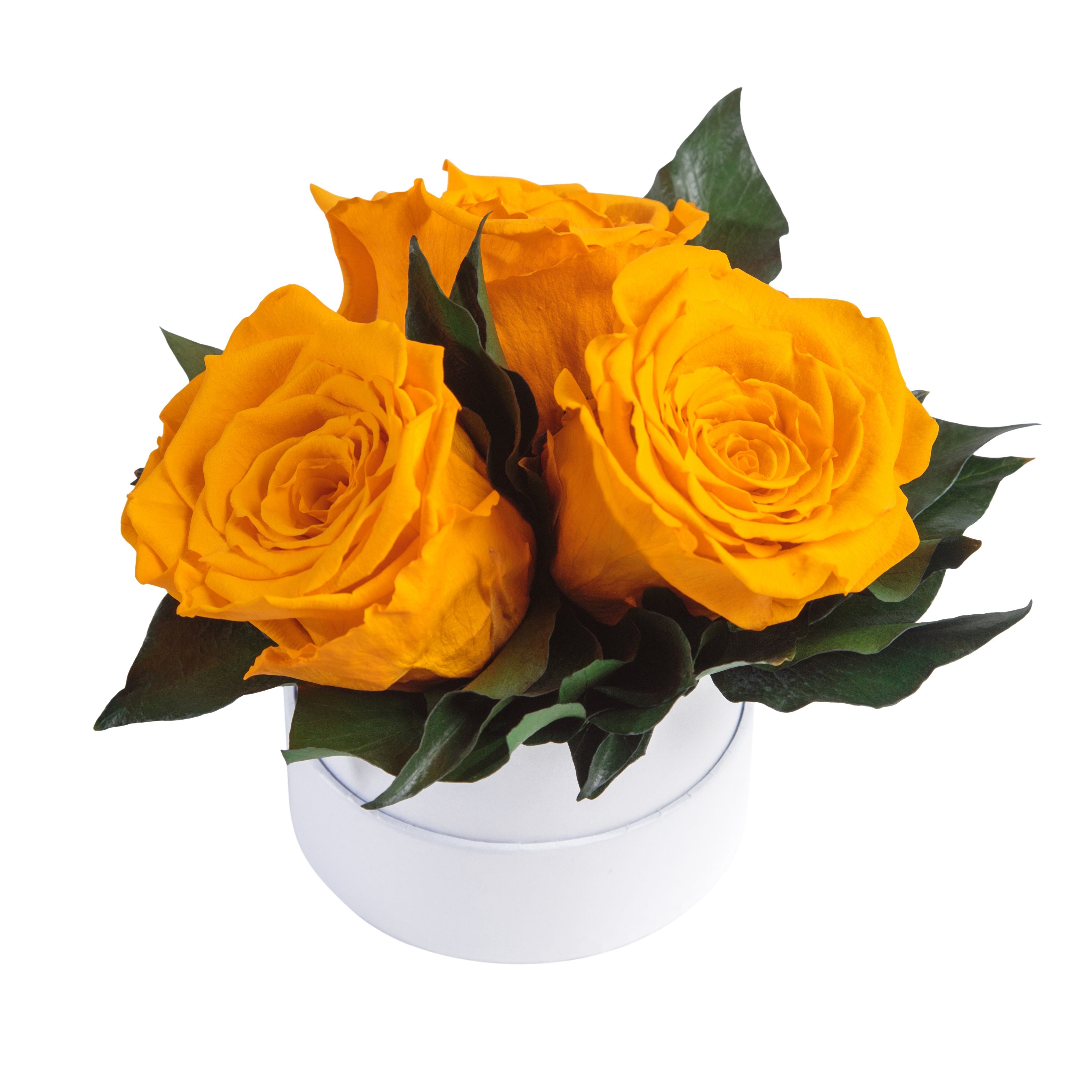 Kunstblume Rosenbox weiß rund 3 echte Infinity Rosen konserviert Rose, ROSEMARIE SCHULZ Heidelberg, Höhe 10 cm, Geschenk für Sie Rosen, Made in Germany