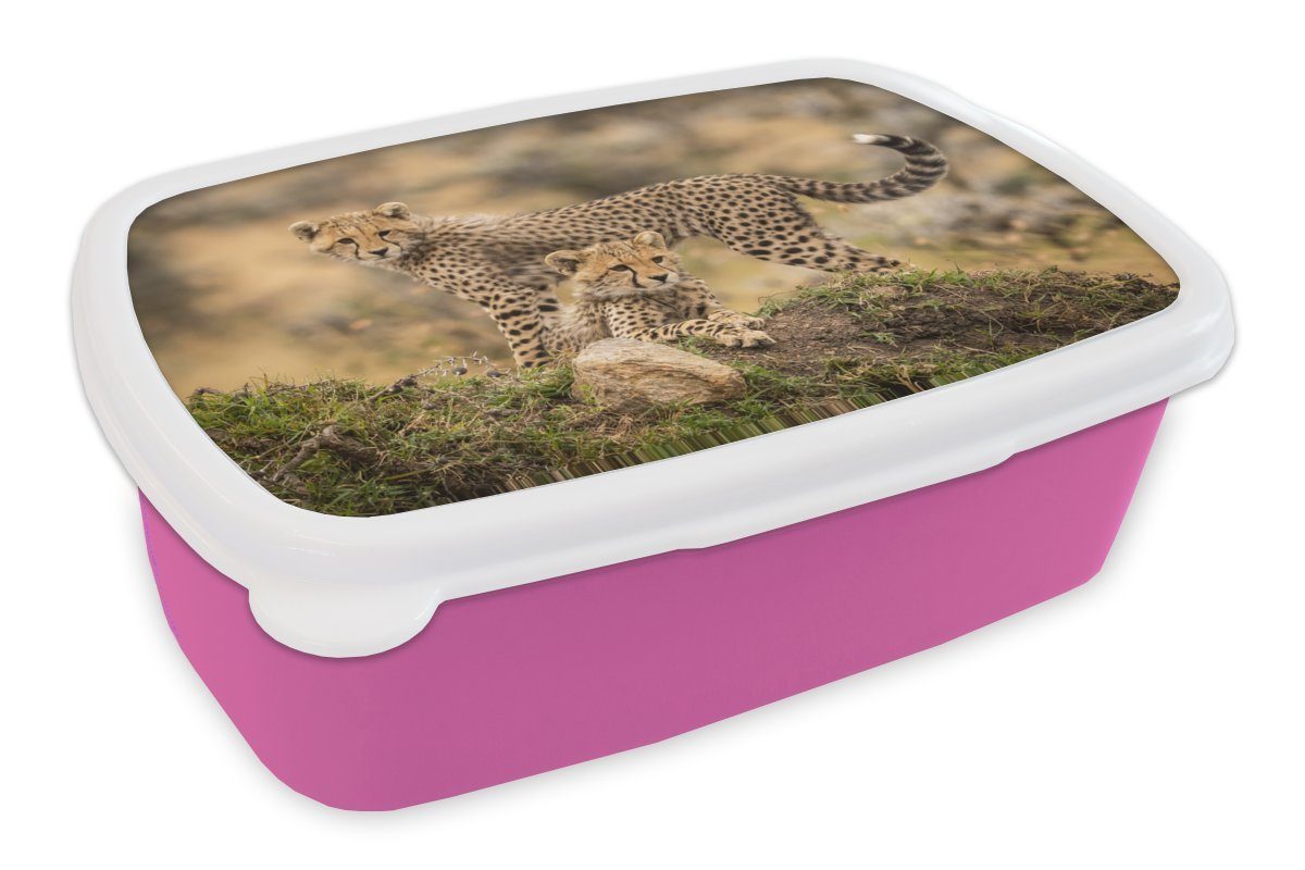 MuchoWow Lunchbox Leopard - Jungtier - Natur, Kunststoff, (2-tlg), Brotbox für Erwachsene, Brotdose Kinder, Snackbox, Mädchen, Kunststoff rosa
