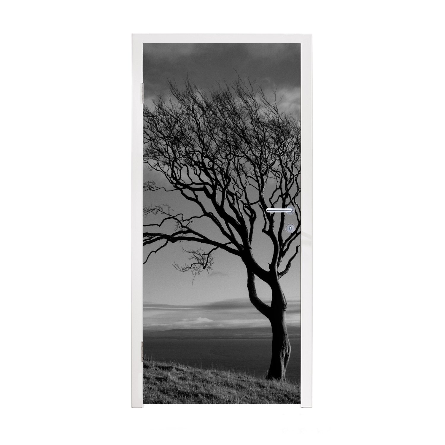 MuchoWow Türtapete Winterfoto Buche schwarz und weiß, Matt, bedruckt, (1 St), Fototapete für Tür, Türaufkleber, 75x205 cm
