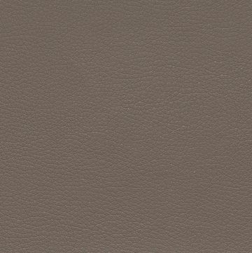 Homexperts Esszimmerstuhl »Zora 01« (Set, 2 St), Bezug in Kunstleder, mit weiß abgesetzten Seiten