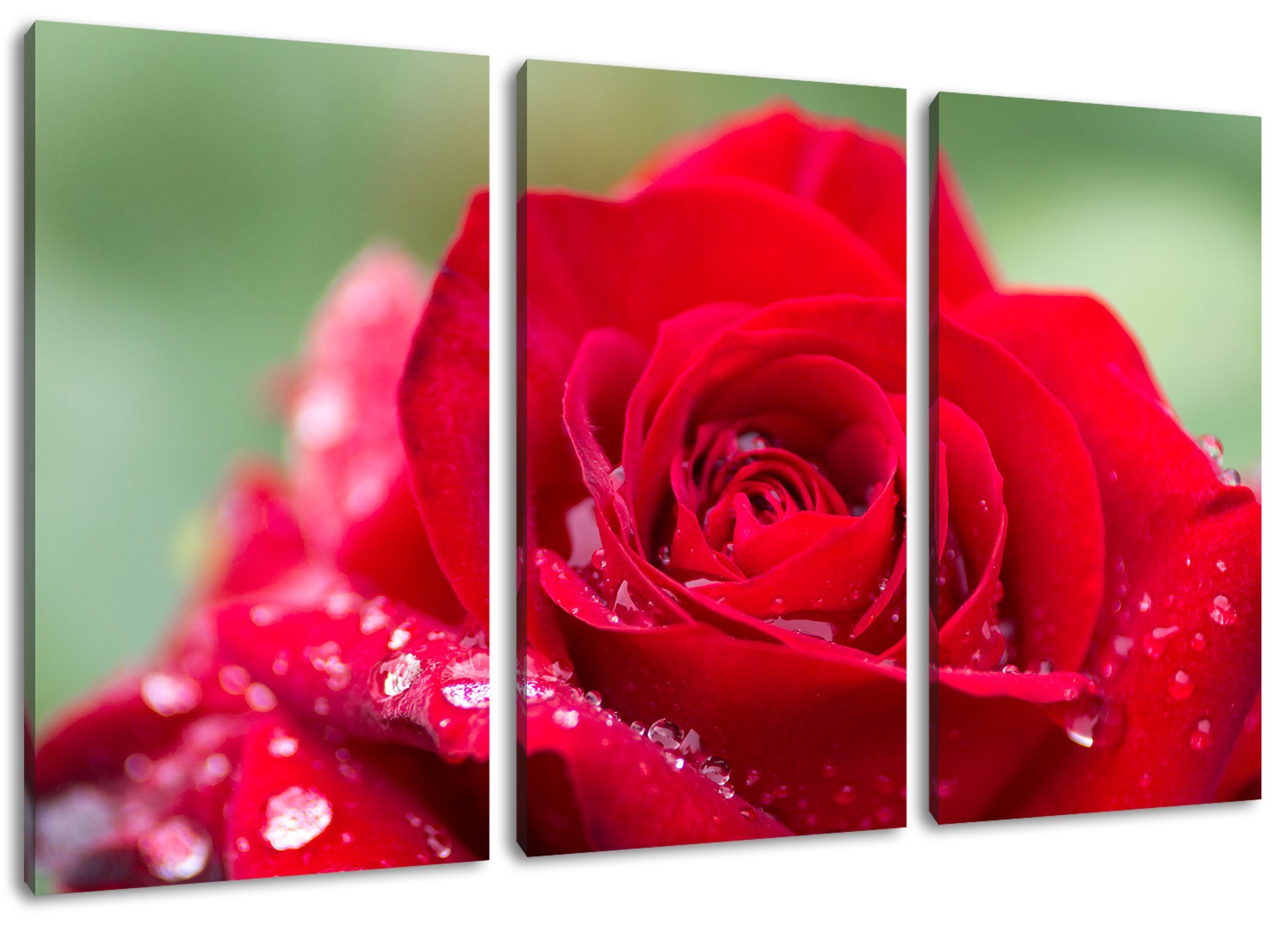 Pixxprint Leinwandbild Rose mit Wassertropfen, Rose mit Wassertropfen 3Teiler (120x80cm) (1 St), Leinwandbild fertig bespannt, inkl. Zackenaufhänger