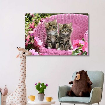 Posterlounge Leinwandbild Greg Cuddiford, Getigerte Kätzchen, Mädchenzimmer Kindermotive